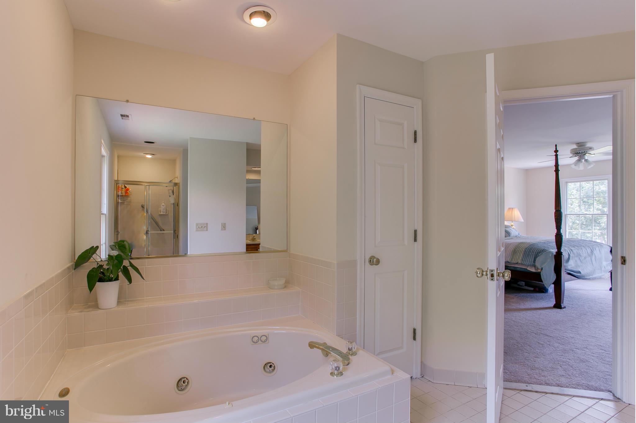 8220 Sandy Stream Road Laurel, MD 20723 - Photo 16 of 30 Bath (Master)