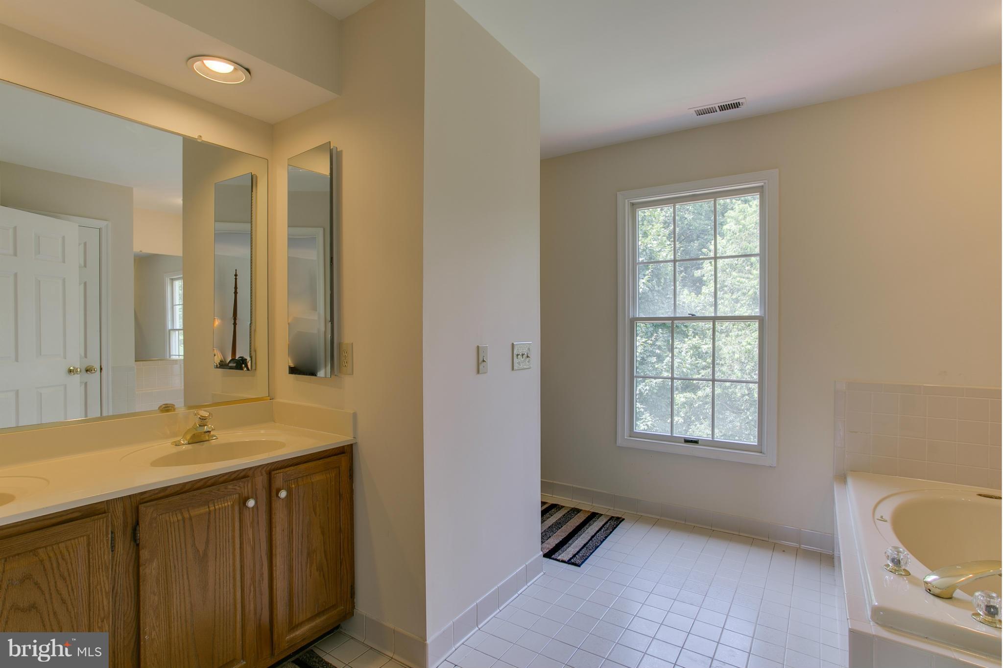 8220 Sandy Stream Road Laurel, MD 20723 - Photo 17 of 30 Bath (Master)