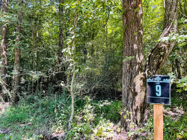 a street sign on a tree in the middle of a forest