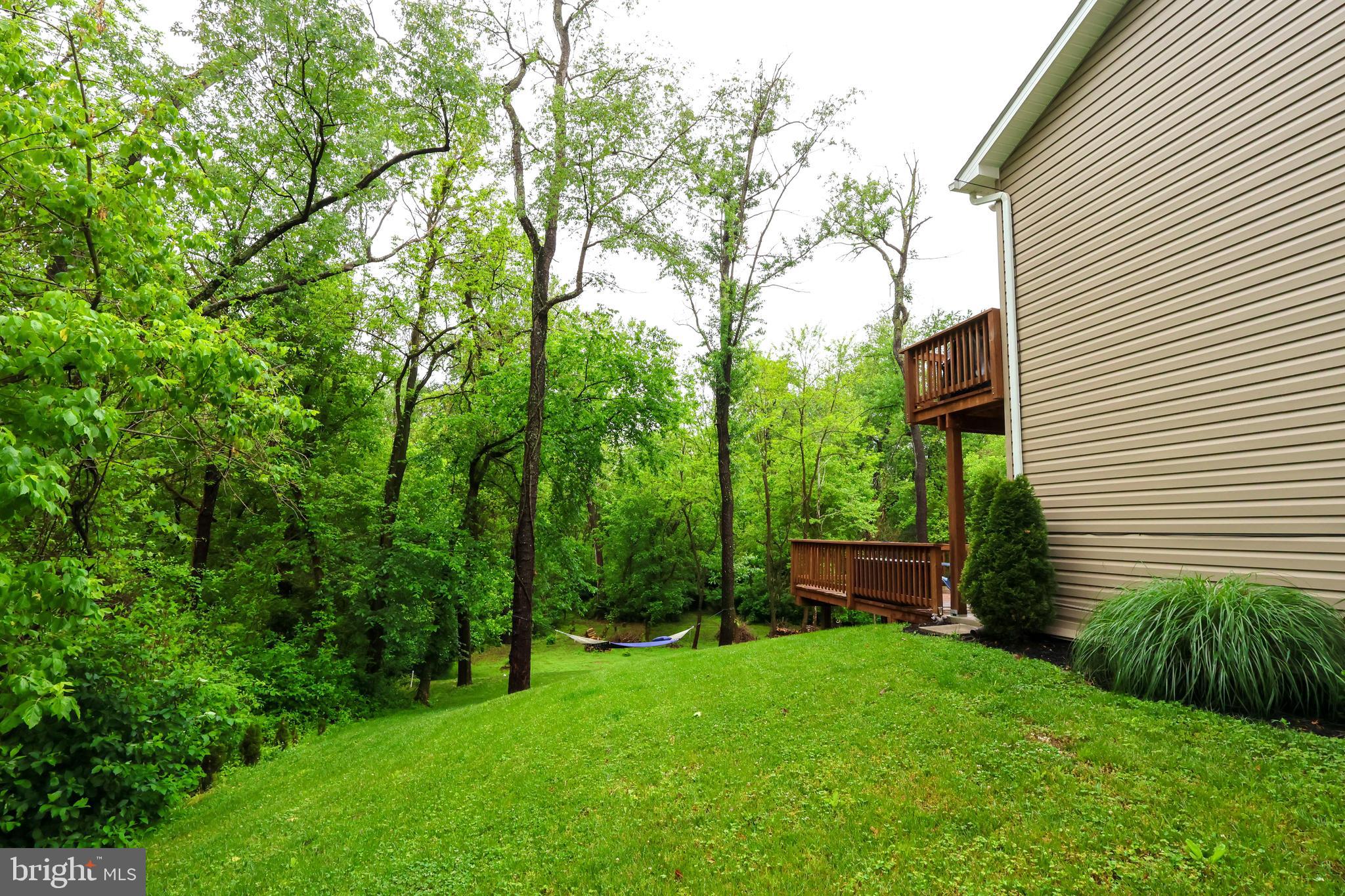 16919 Shaffer Road Sharpsburg, MD 21782 - Photo 47 of 58 a view of a backyard with potted plants and large trees