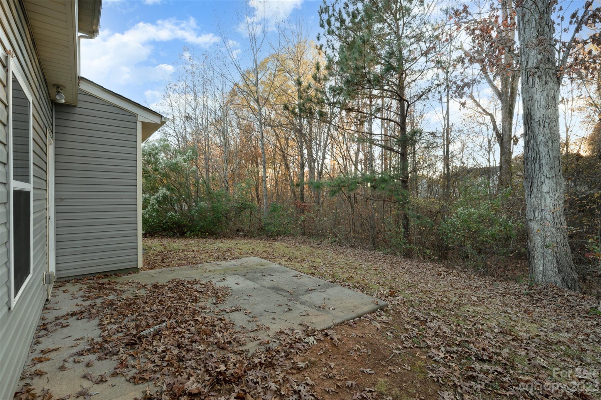 13225 Chelsea Ridge Lane Huntersville, NC 28078 - Photo 33 of 40 a view of a backyard with large trees