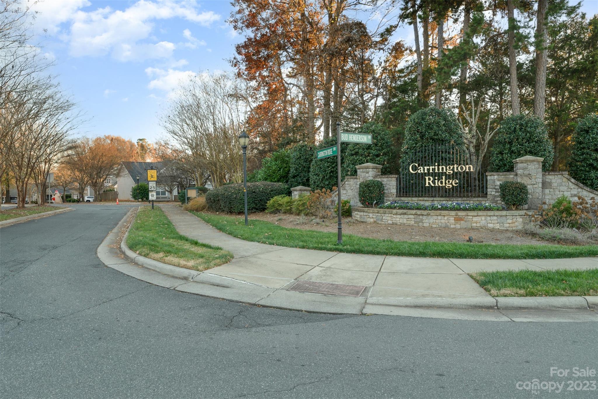 13225 Chelsea Ridge Lane Huntersville, NC 28078 - Photo 35 of 40 a view of a park with large trees