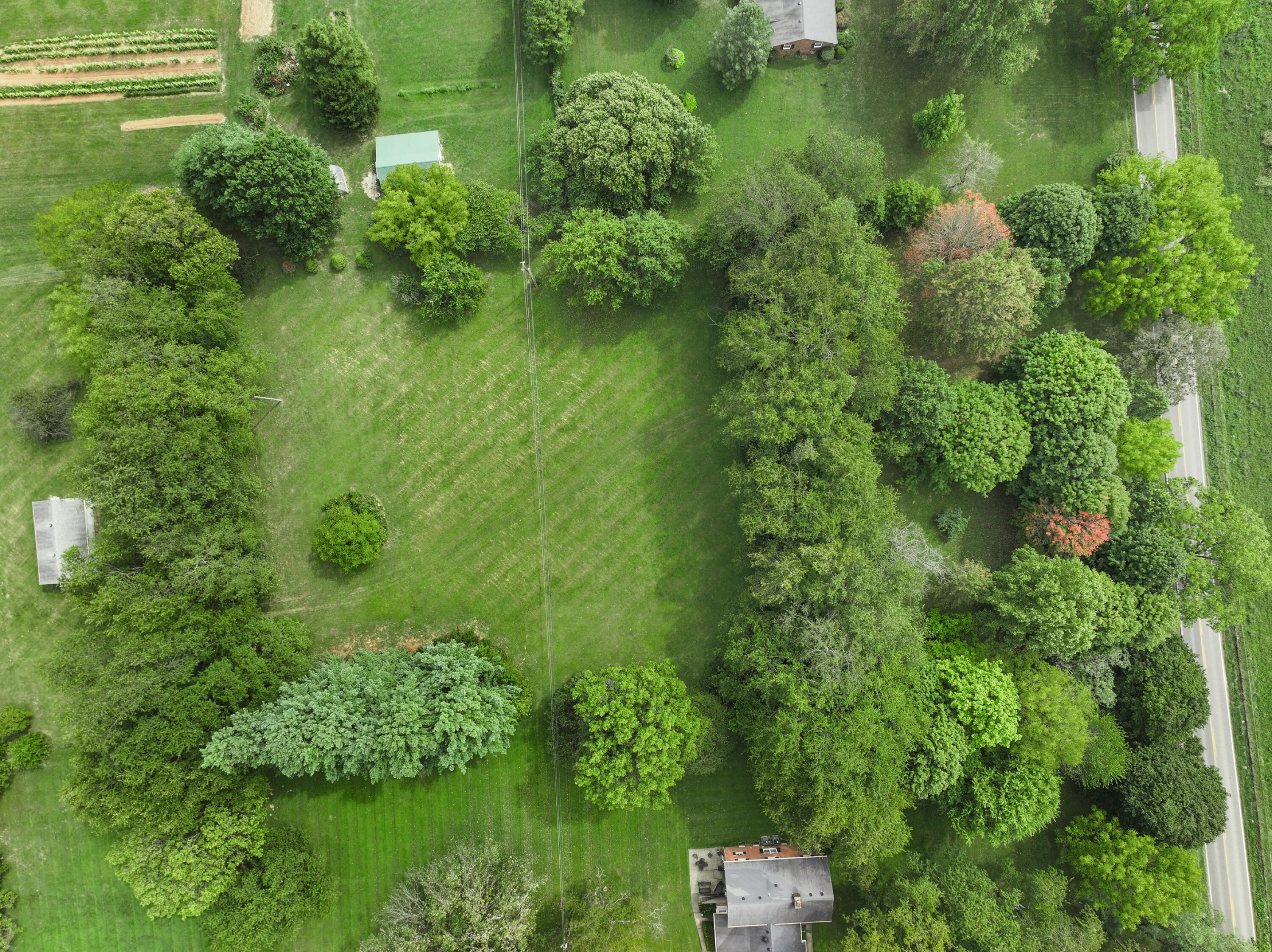 391 Brannon Road Nicholasville, KY 40356 - Photo 10 of 18 DJI_20240506183431_0096_D