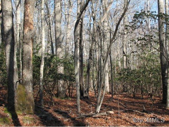 0 Morris Road Mills River, NC 28759 - Photo 1 of 5 Gallery Image 1