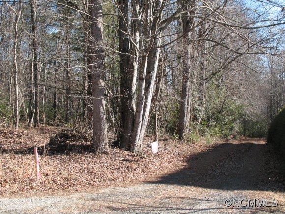 0 Morris Road Mills River, NC 28759 - Photo 3 of 5 Gallery Image 3