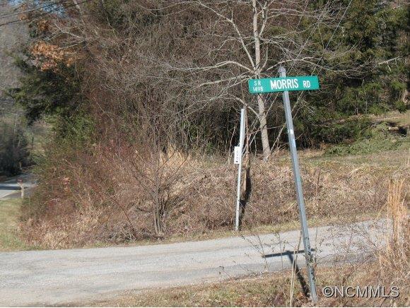 0 Morris Road Mills River, NC 28759 - Photo 5 of 5 Gallery Image 5