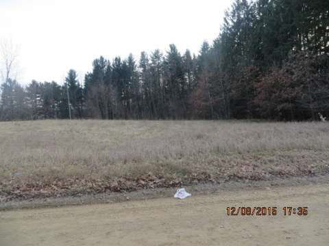 0 Blue Ridge Road Clarklake, MI 49234 - Photo 3 of 6