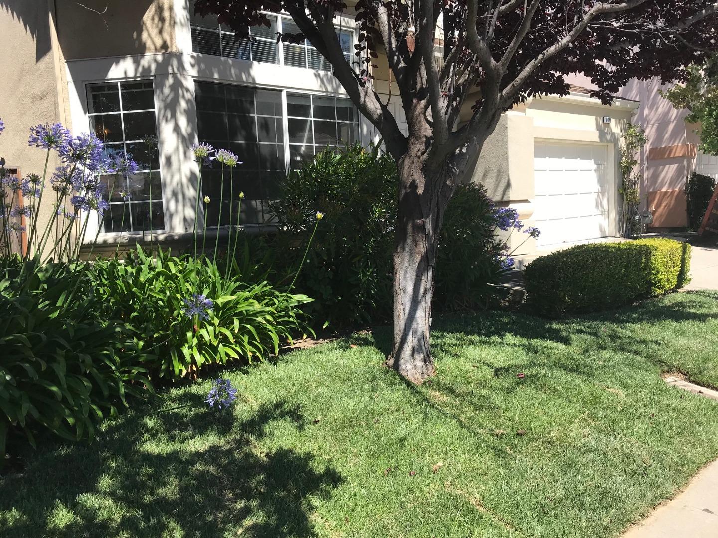 34372 Eucalyptus Terrace Fremont, CA 94555 - Photo 3 of 40 a backyard of a house with lots of green space