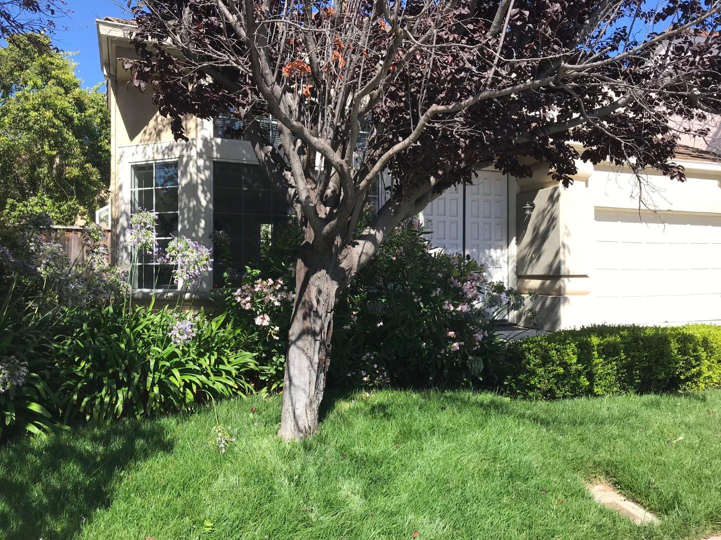 34372 Eucalyptus Terrace Fremont, CA 94555 - Photo 40 of 40