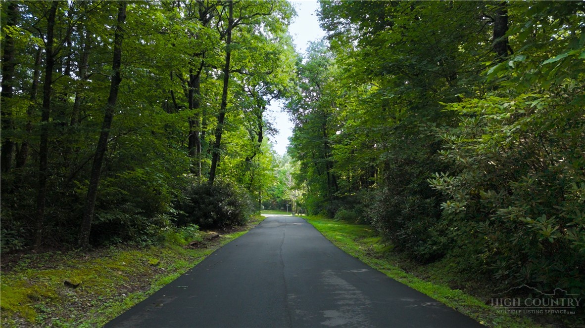 Lot 13 Hemlock Ridge Road Blowing Rock, NC 28605 - Photo 4 of 16 Gallery Image 4