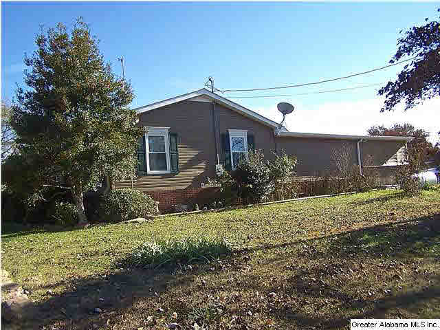 213 Lake Road Oneonta, AL 35121 - Photo 28 of 32