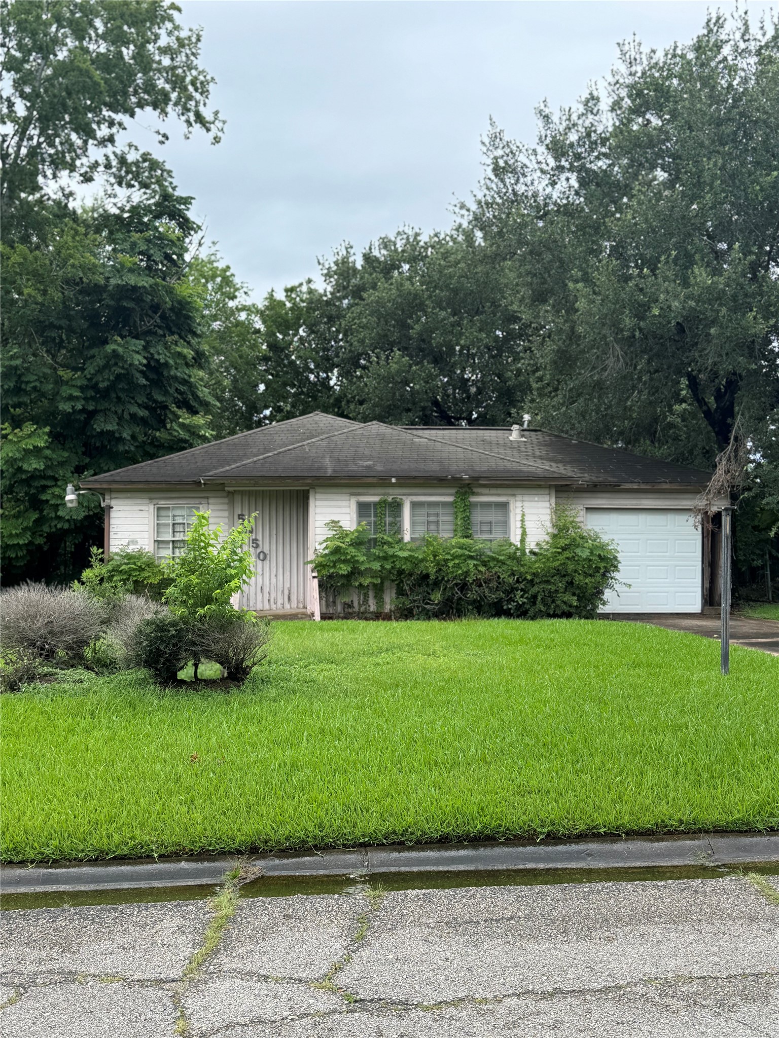 a view of a house with a garden