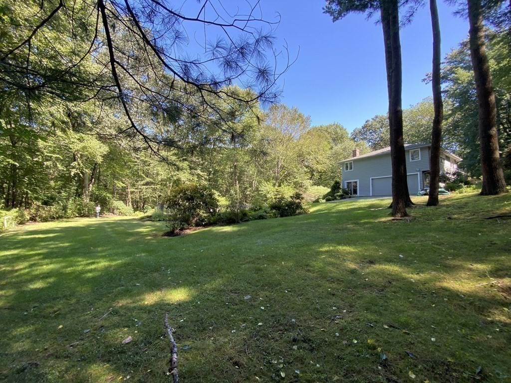 19 Barney Hill Road Wayland, MA 01778 - Photo 3 of 27 Gallery Image 3