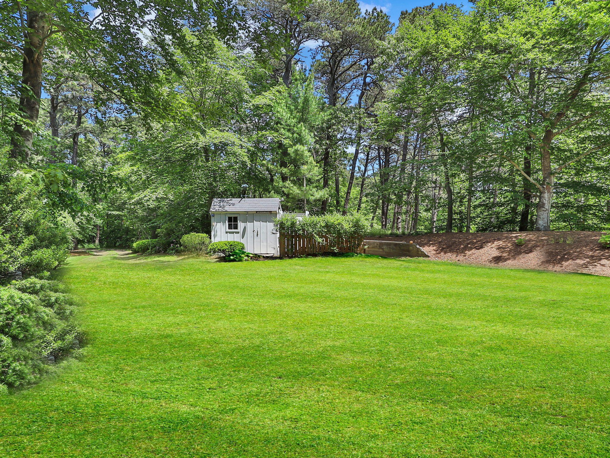 290 Old Long Pond Road Brewster, MA 02631 - Photo 14 of 45 290 Old Long Pond Grass