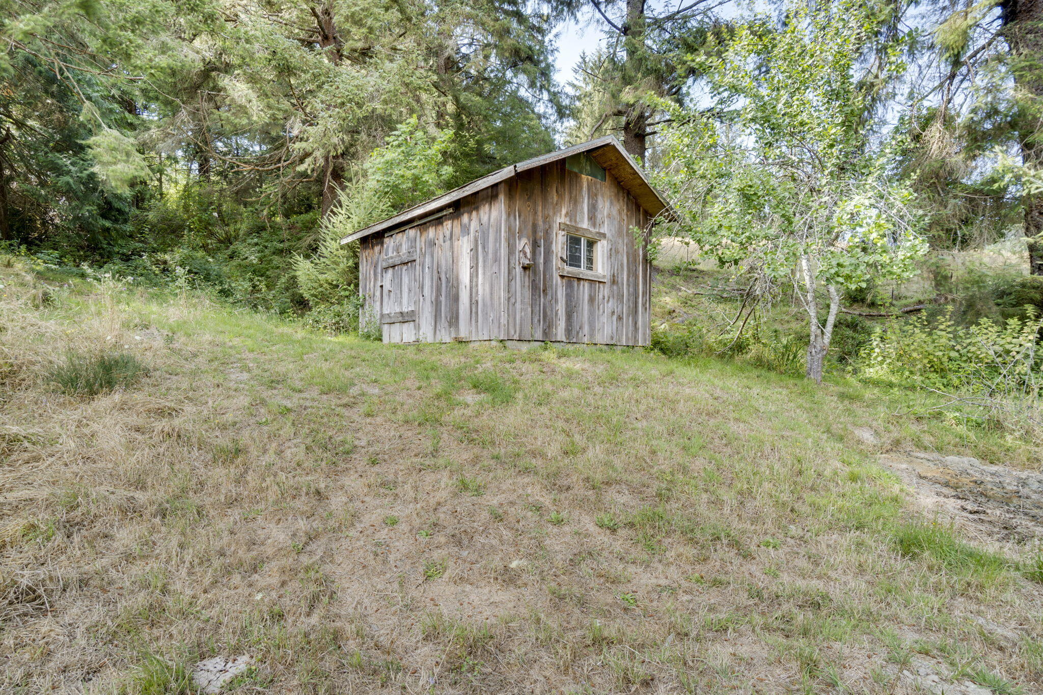 1750 Williams Creek Road Ferndale, CA 95536 - Photo 46 of 50
