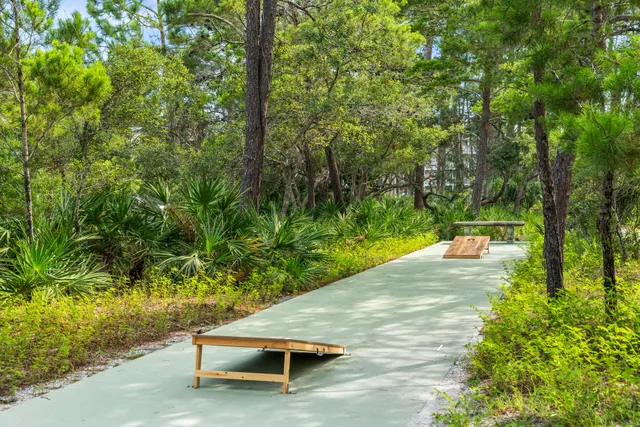a view of a pathway both side of yard