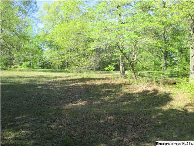 190 Chaley Springs Road Warrior, AL 35180 - Photo 19 of 25
