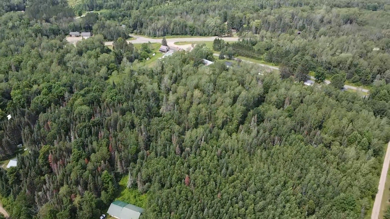 4946 Bluebird Road Argonne, WI 54511 - Photo 30 of 30 Gallery Image 30