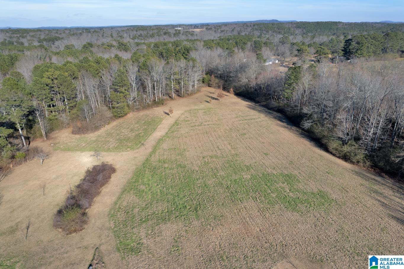 145 Fall Branch Road Remlap, AL 35133 - Photo 39 of 48