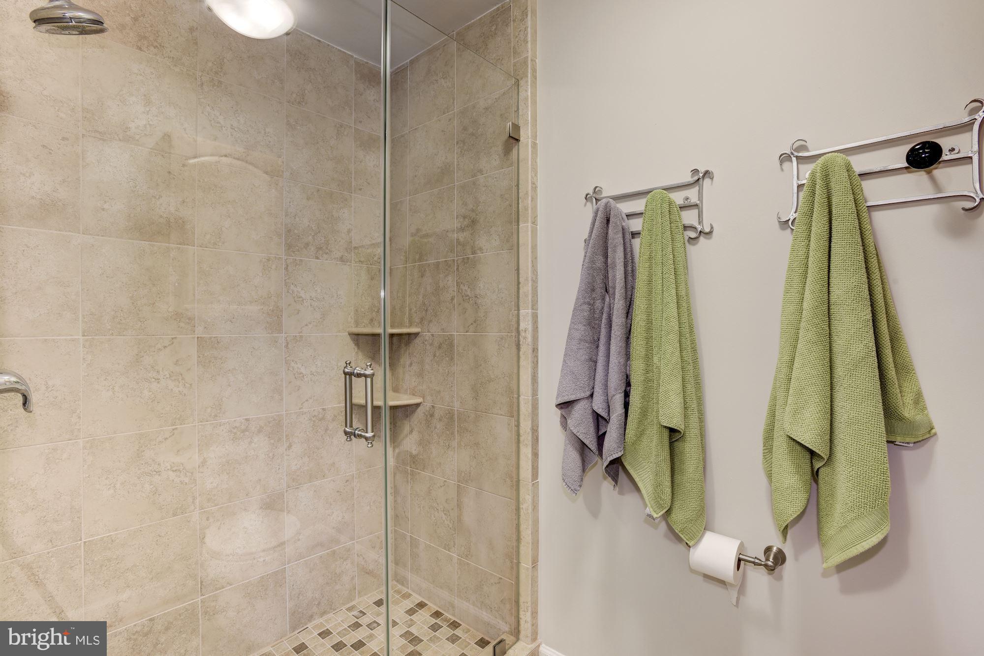 2346 Generation Drive Reston, VA 20191 - Photo 24 of 54 Master FBA shower wall to ceiling ceramic tiles