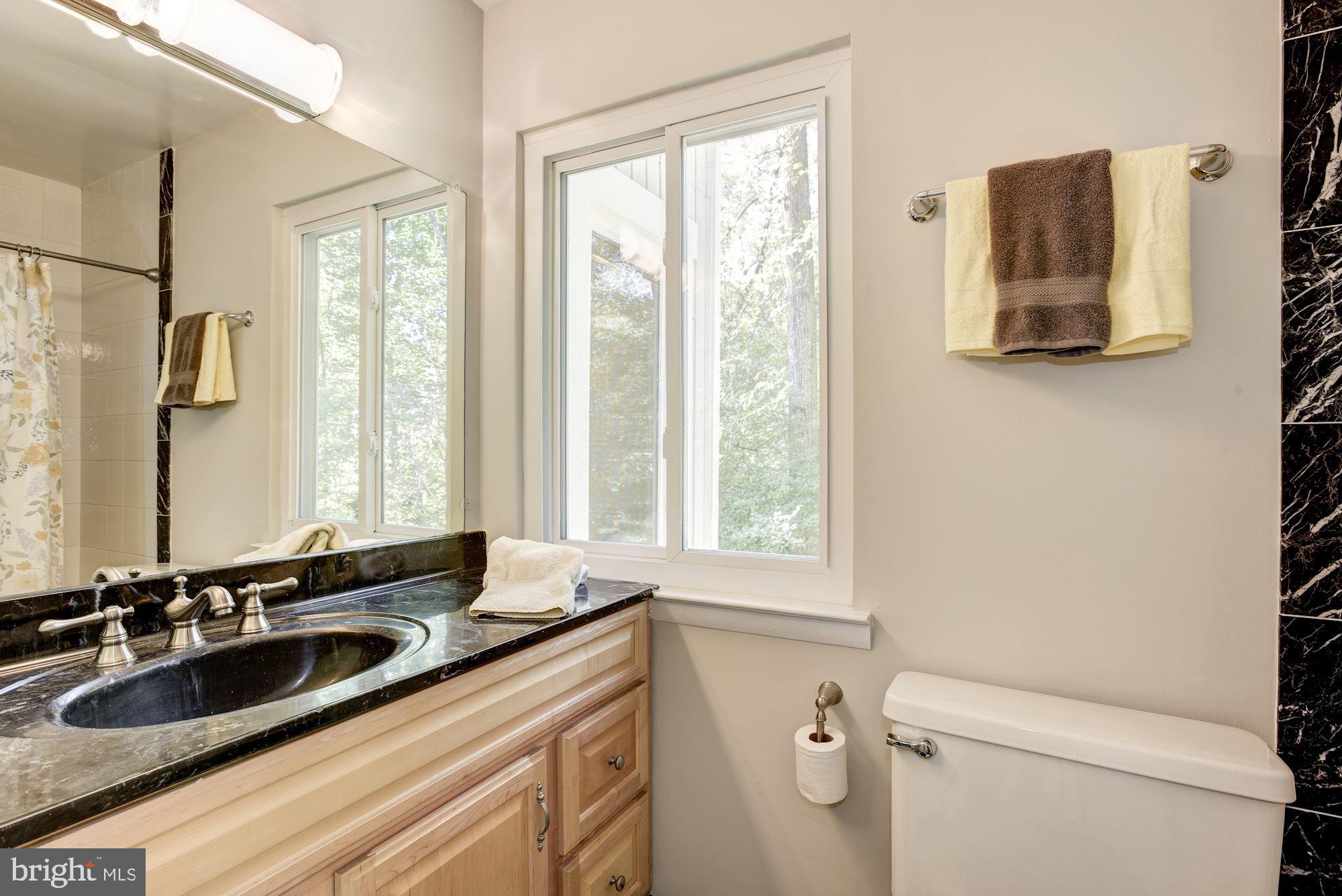 2346 Generation Drive Reston, VA 20191 - Photo 29 of 54 Second full bathroom black & white marble
