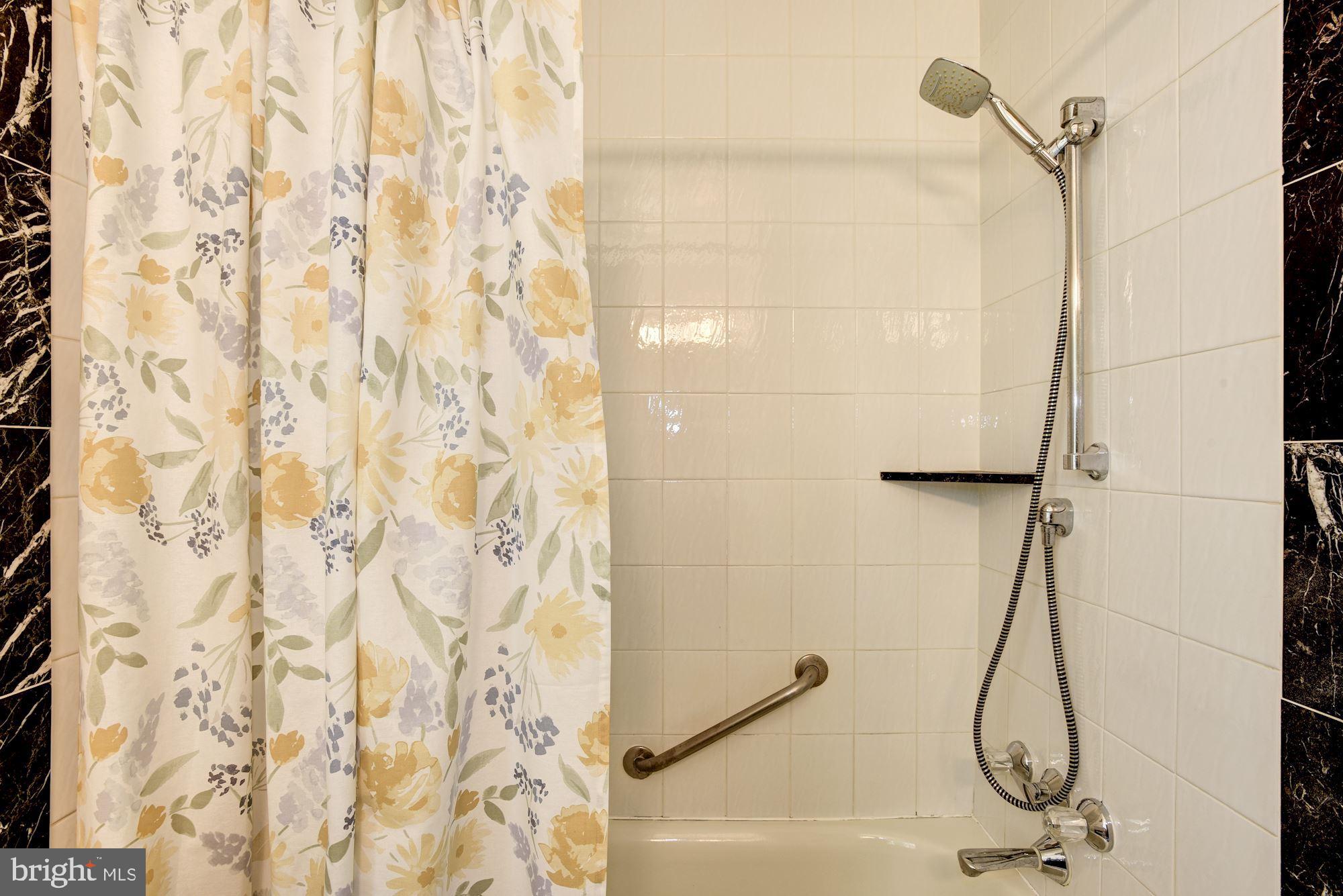 2346 Generation Drive Reston, VA 20191 - Photo 30 of 54 Second full bathroom with tub & detachable shower
