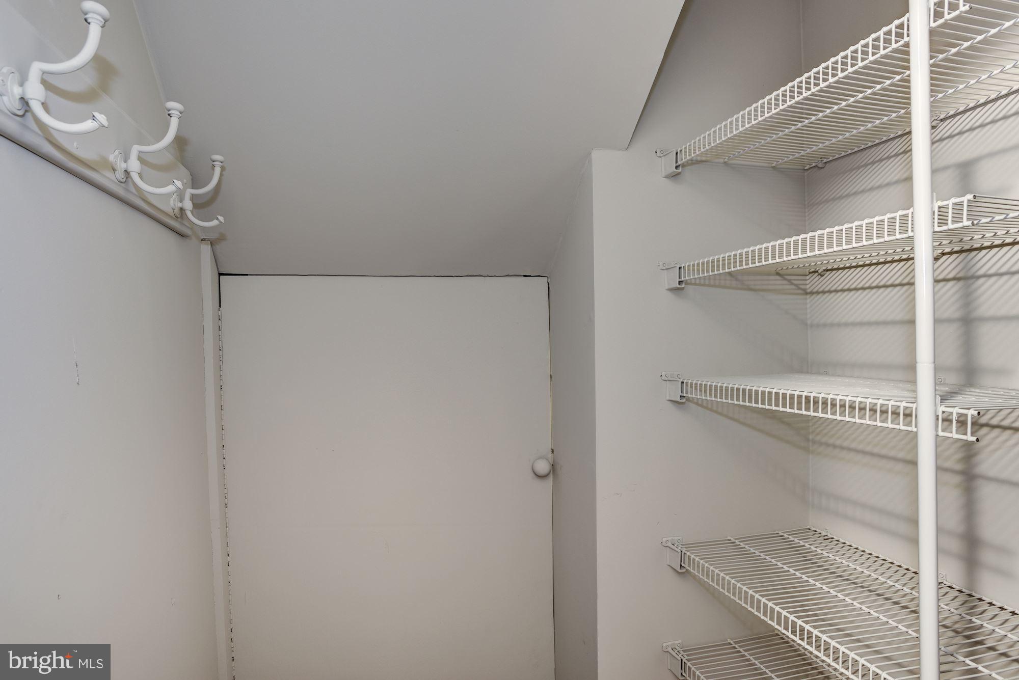 2346 Generation Drive Reston, VA 20191 - Photo 37 of 54 Hidden storage space under the stairs
