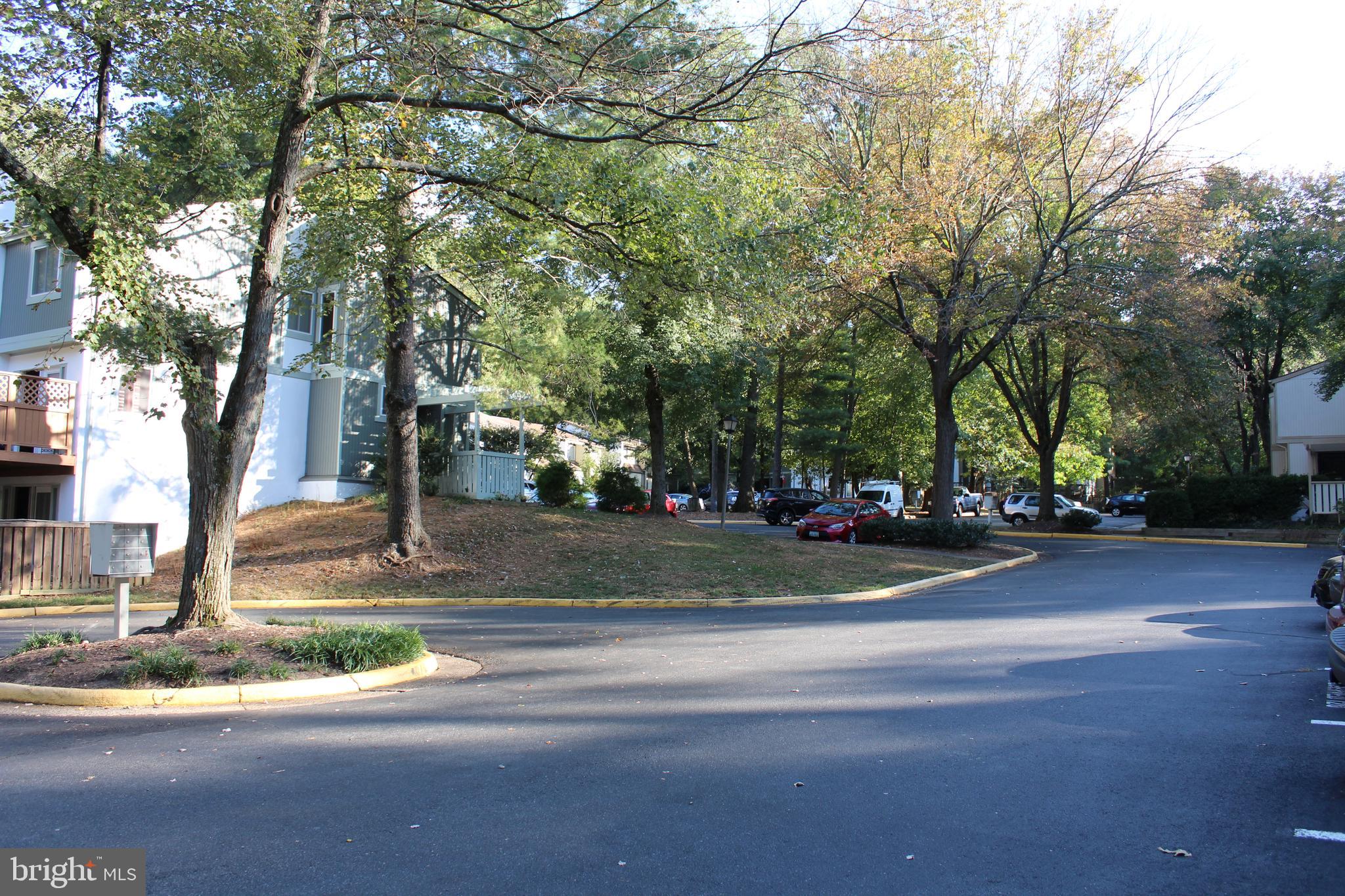 2346 Generation Drive Reston, VA 20191 - Photo 51 of 54 View from parking space of neighborhood