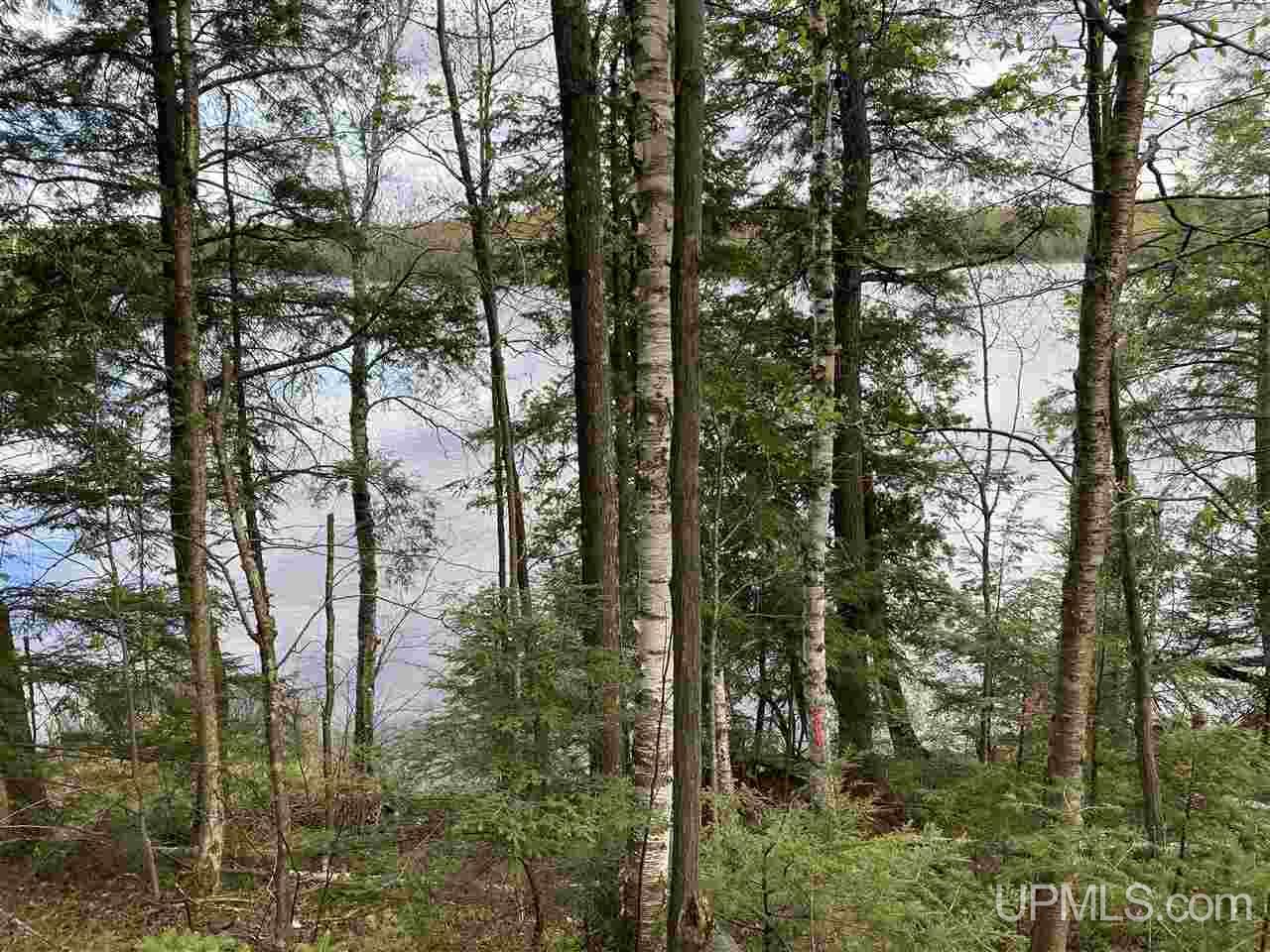 On On Chaney Cove Road, Unit LOT 1 Bessemer, MI 49911 - Photo 4 of 28