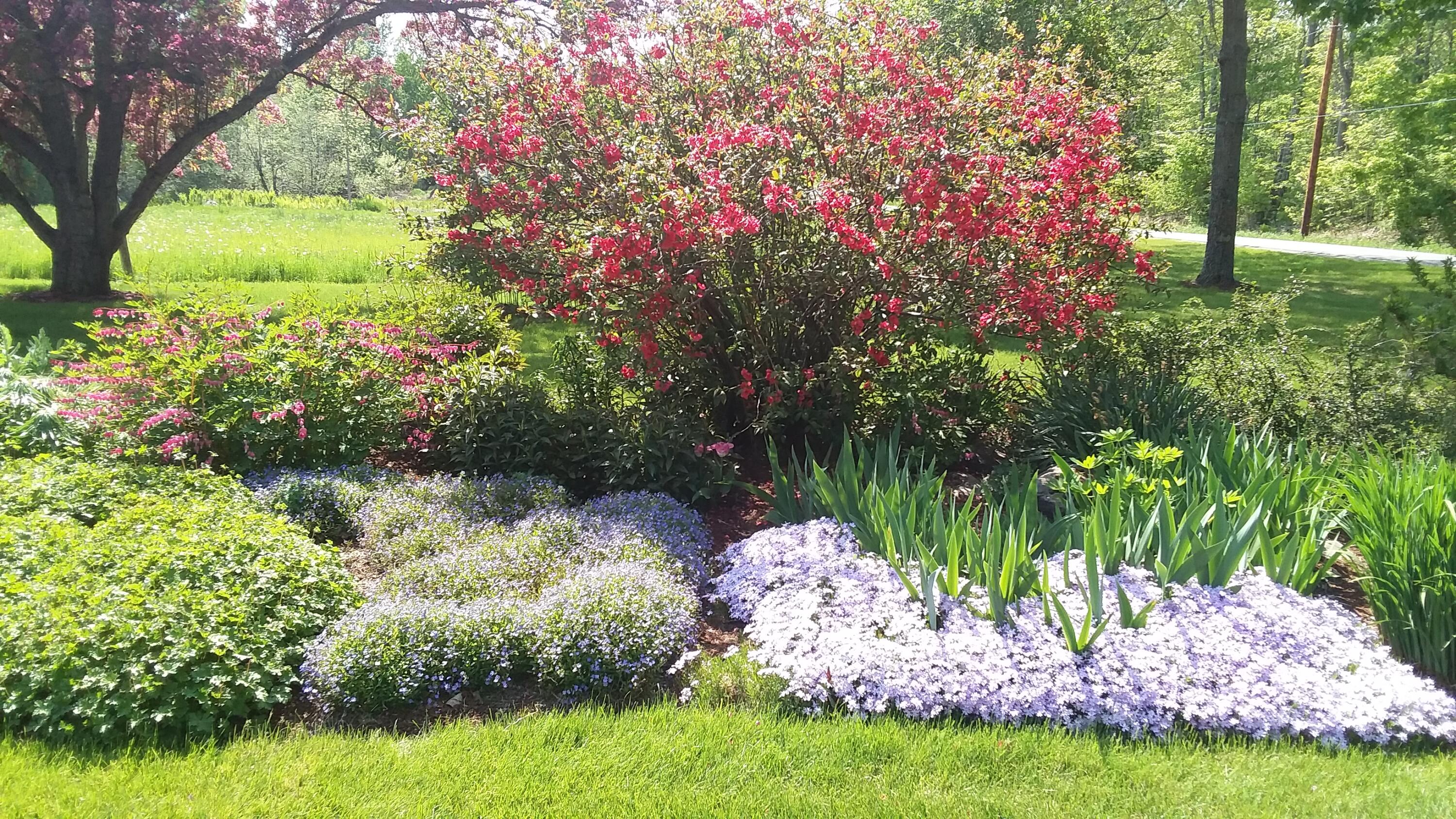 71 Upper-Charleston Road Charleston, ME 04422 - Photo 11 of 184 20210520_145455