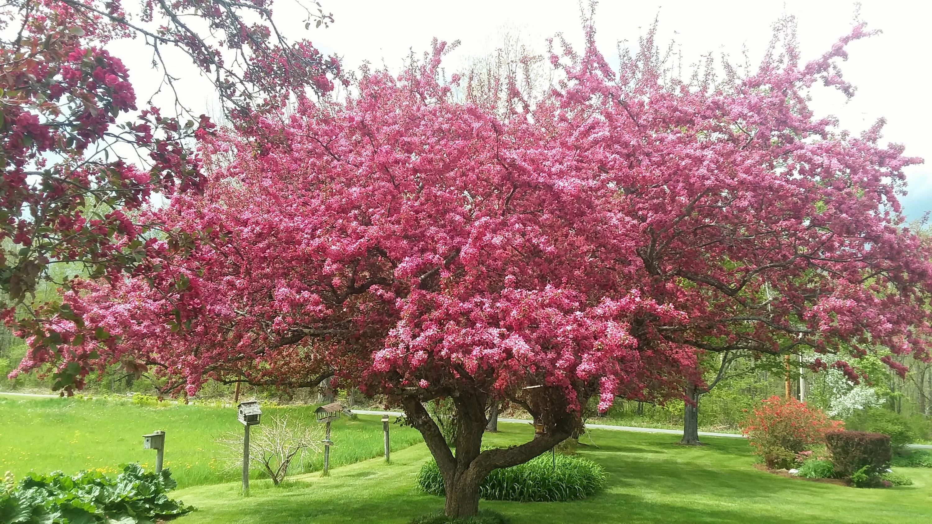 71 Upper-Charleston Road Charleston, ME 04422 - Photo 111 of 184 20210516_142020