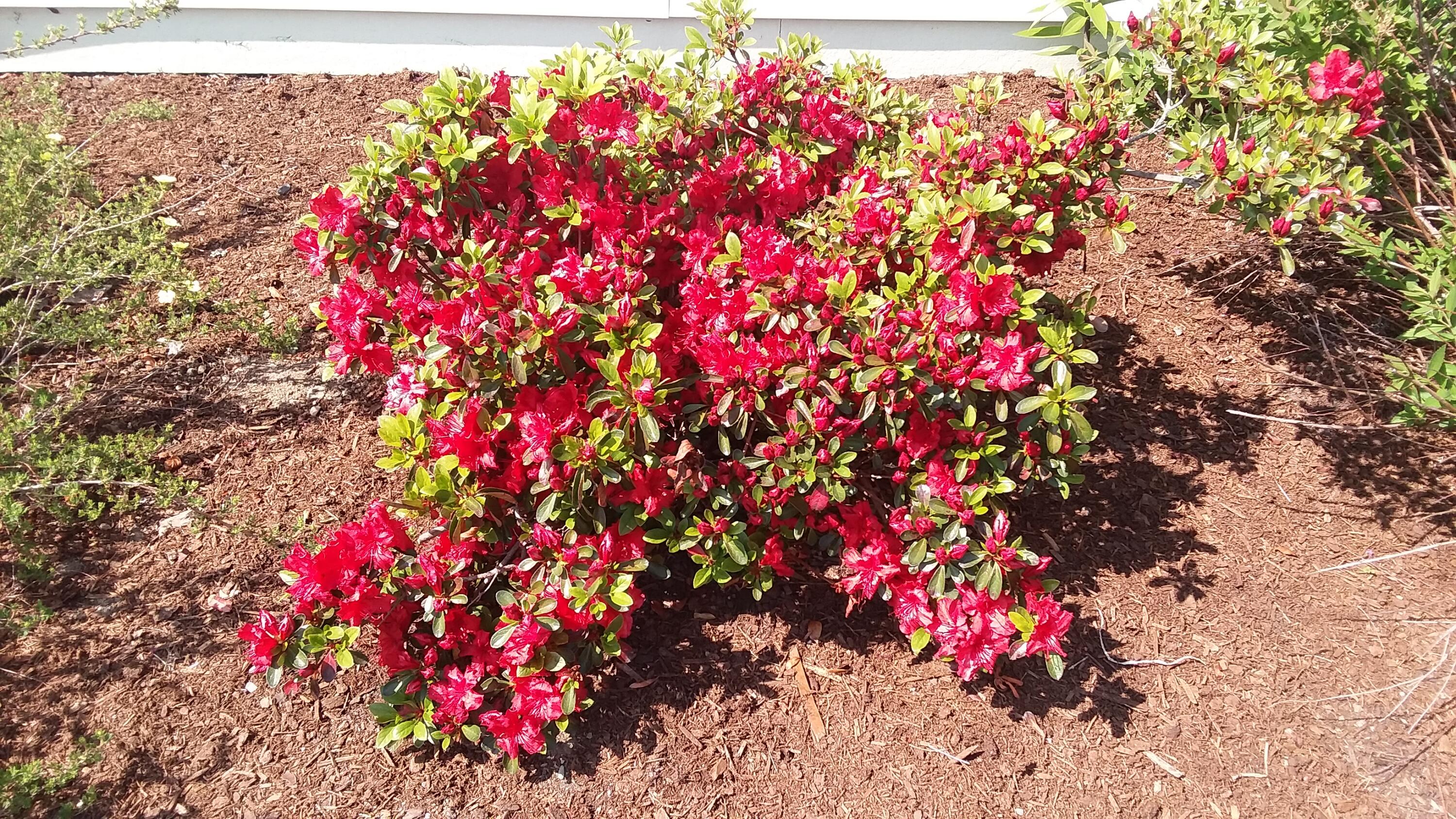 71 Upper-Charleston Road Charleston, ME 04422 - Photo 112 of 184 20210520_144448