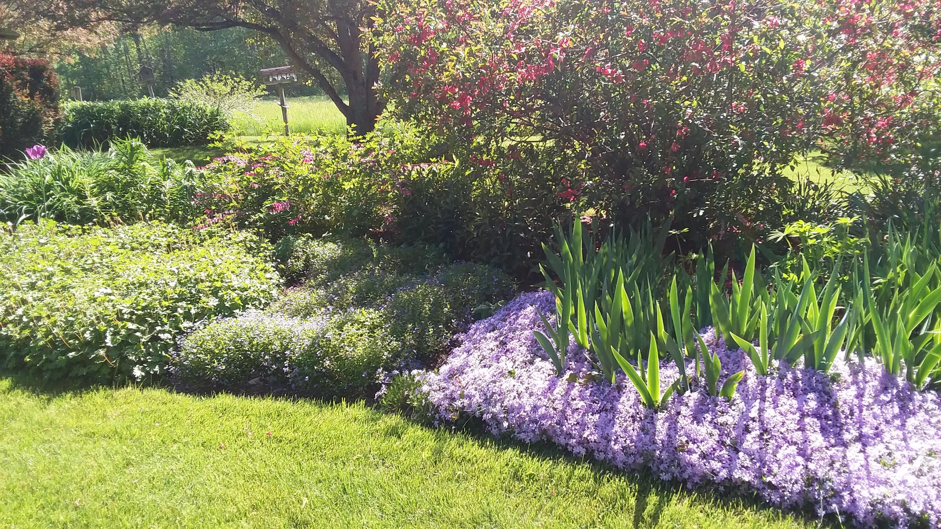 71 Upper-Charleston Road Charleston, ME 04422 - Photo 113 of 184 20210523_153407