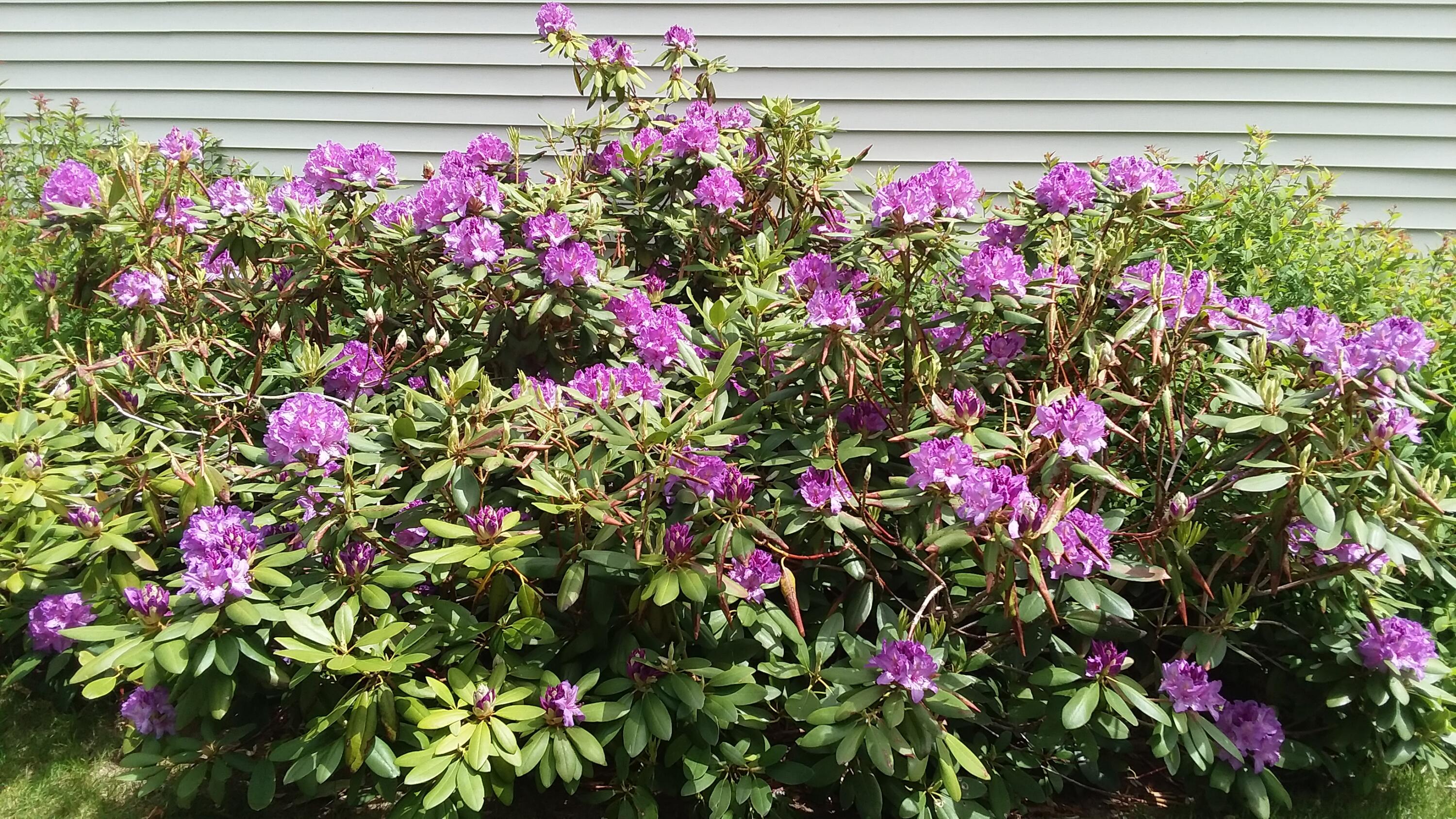 71 Upper-Charleston Road Charleston, ME 04422 - Photo 114 of 184 20210530_121450