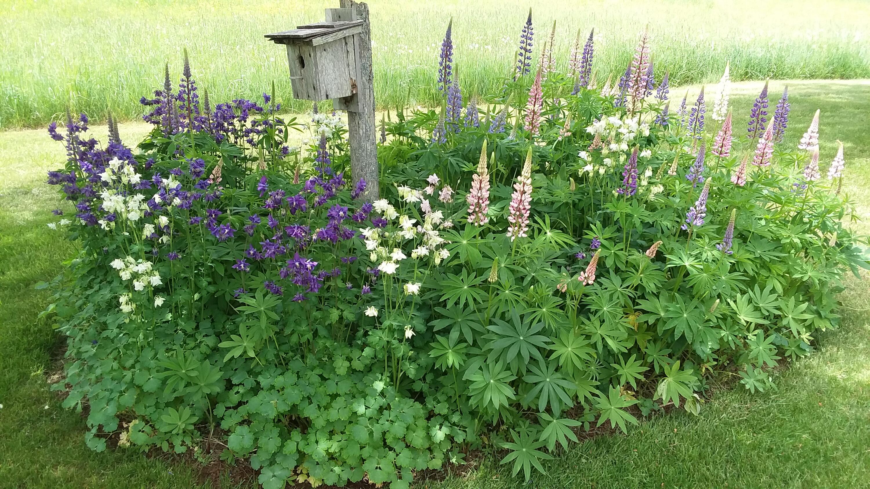 71 Upper-Charleston Road Charleston, ME 04422 - Photo 115 of 184 20210530_121516