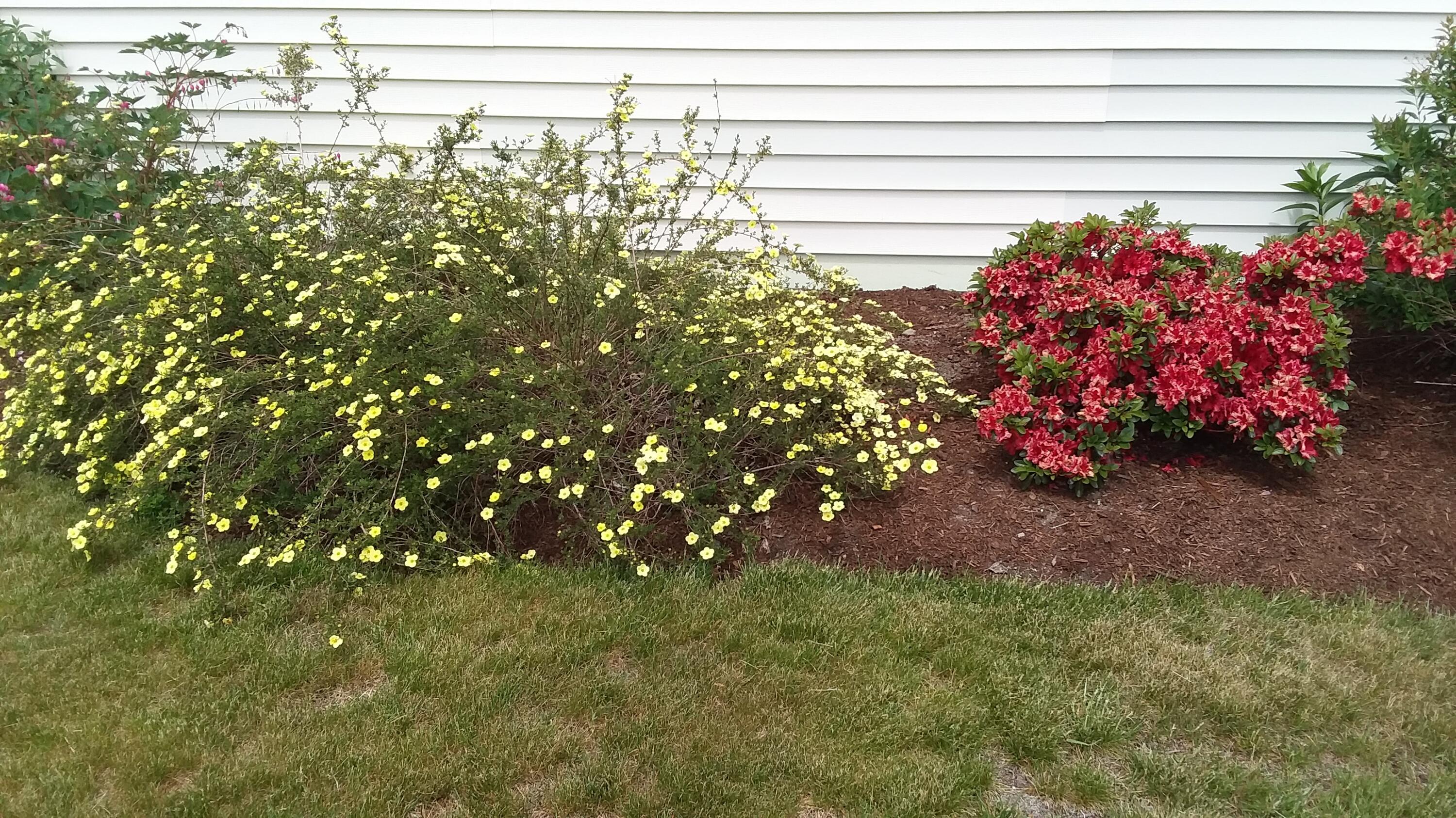 71 Upper-Charleston Road Charleston, ME 04422 - Photo 116 of 184 20210530_121615