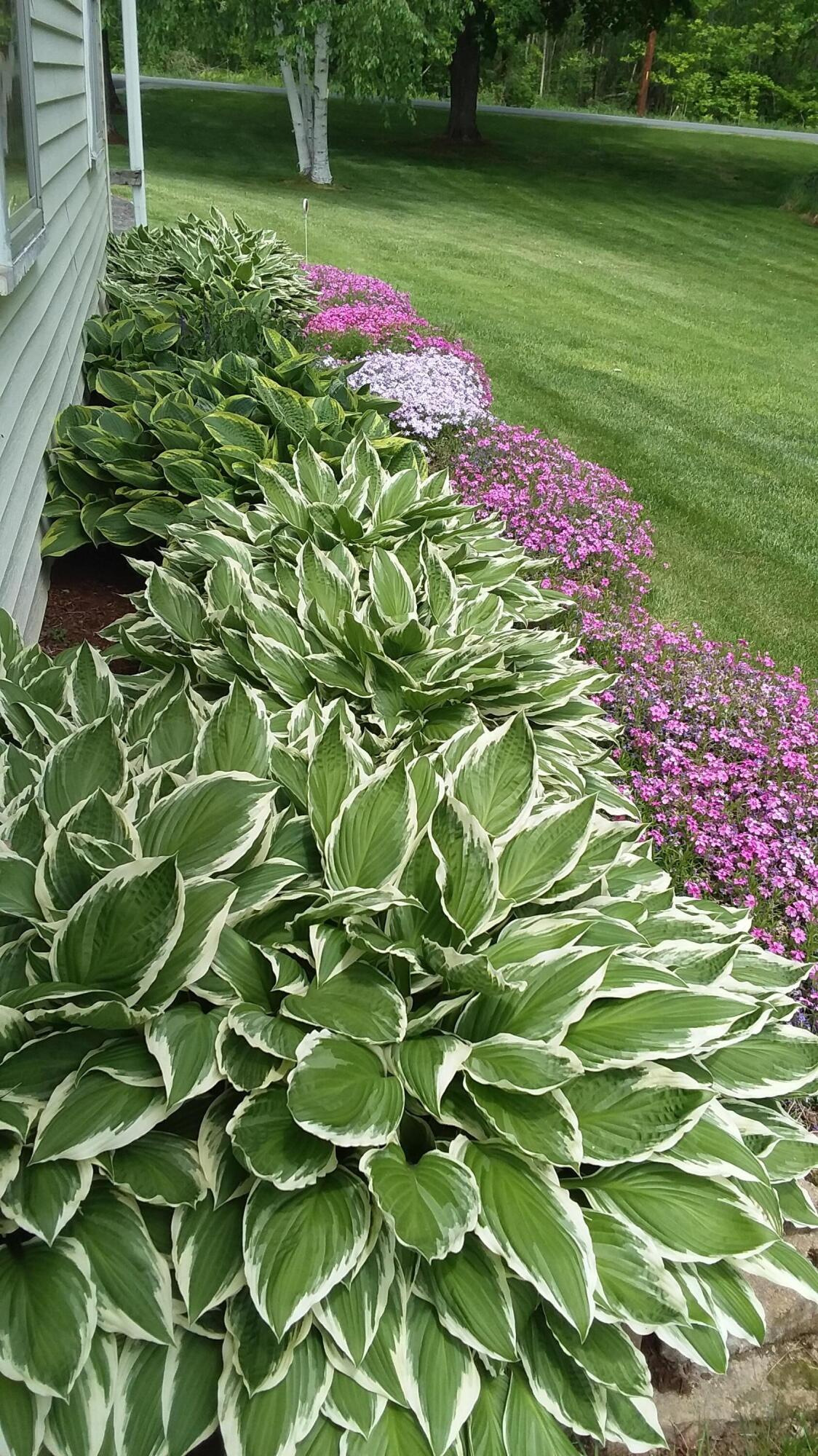 71 Upper-Charleston Road Charleston, ME 04422 - Photo 117 of 184 20210530_121657