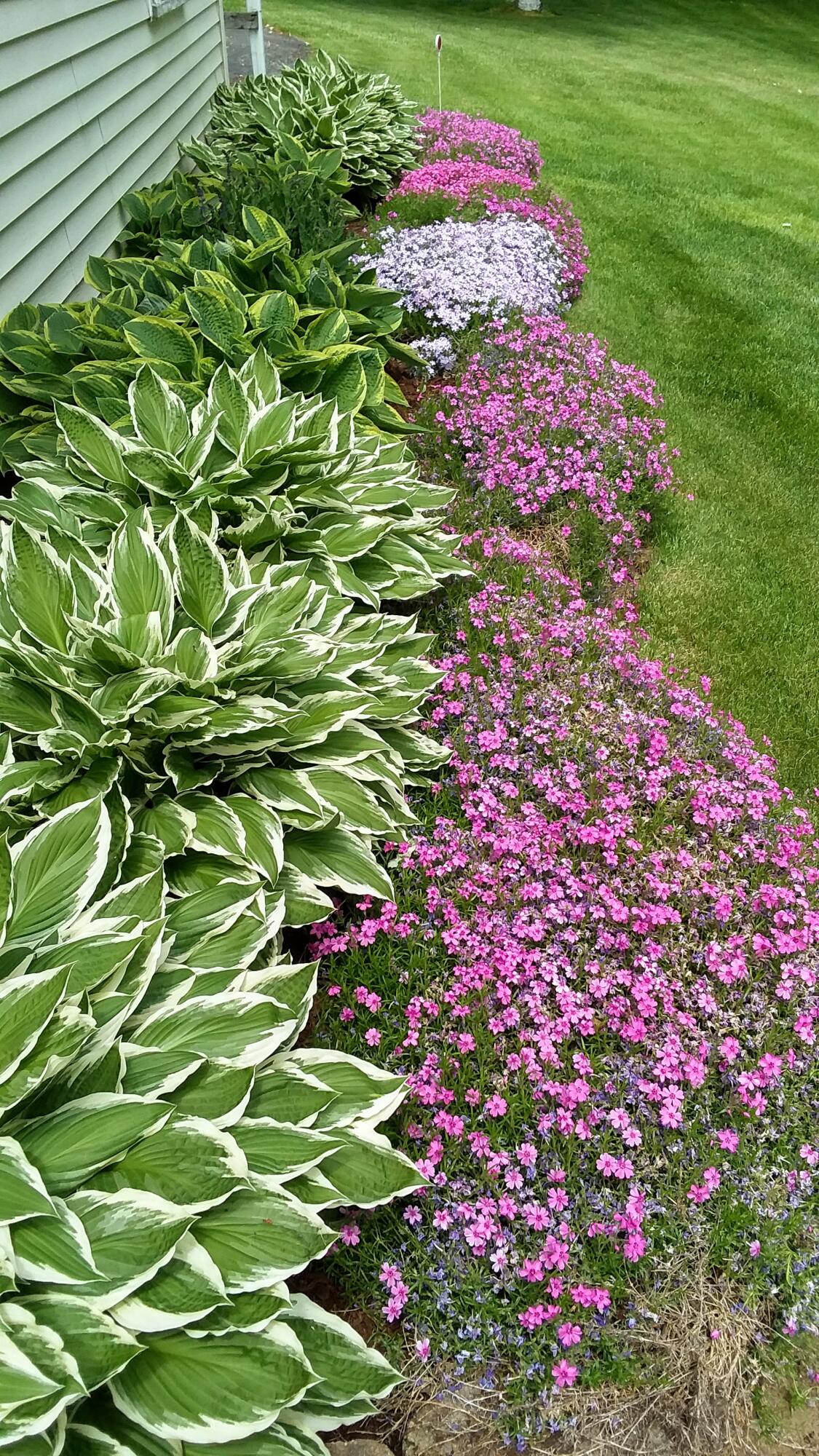 71 Upper-Charleston Road Charleston, ME 04422 - Photo 118 of 184 20210530_121709