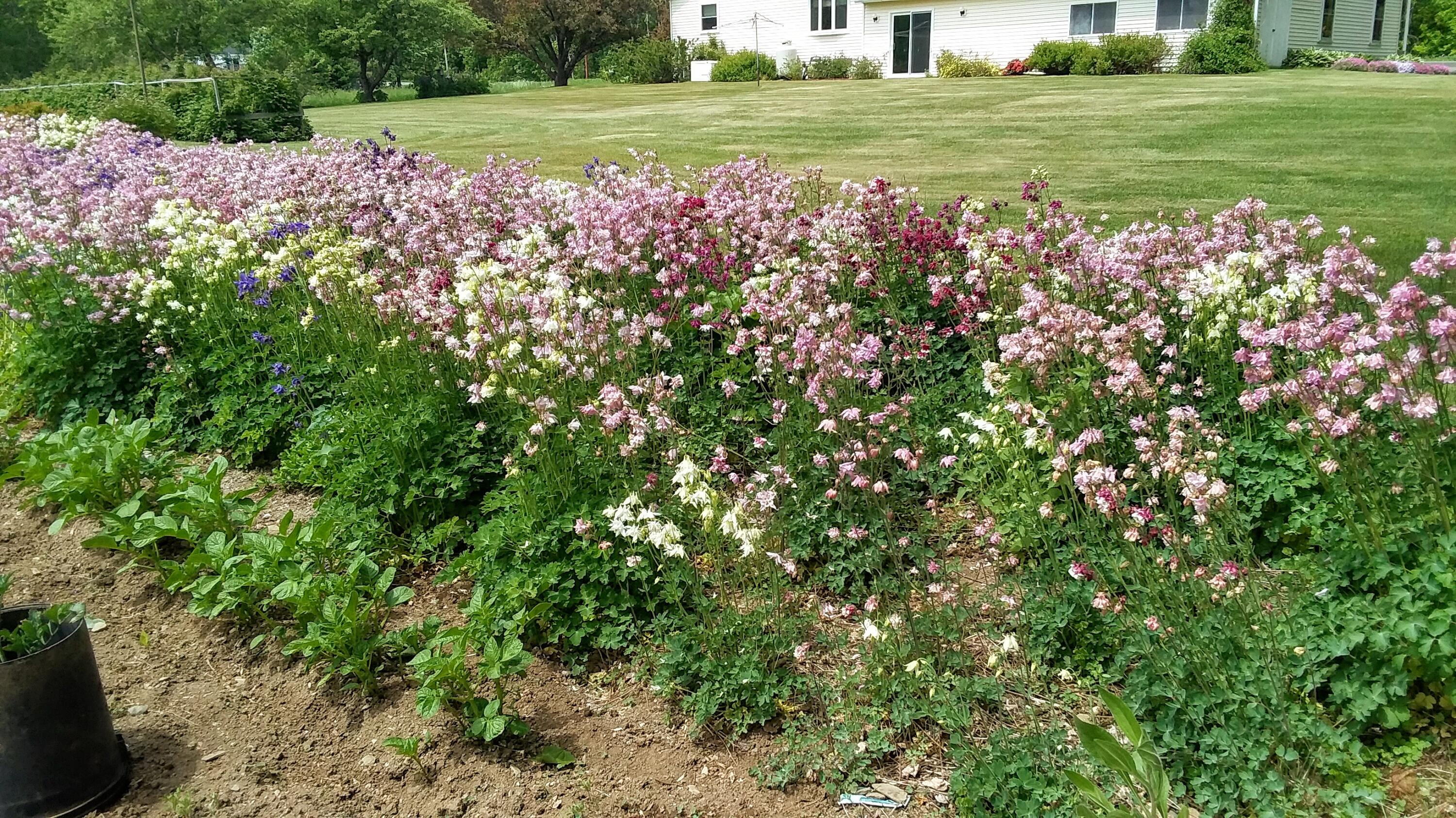 71 Upper-Charleston Road Charleston, ME 04422 - Photo 119 of 184 20210530_121806