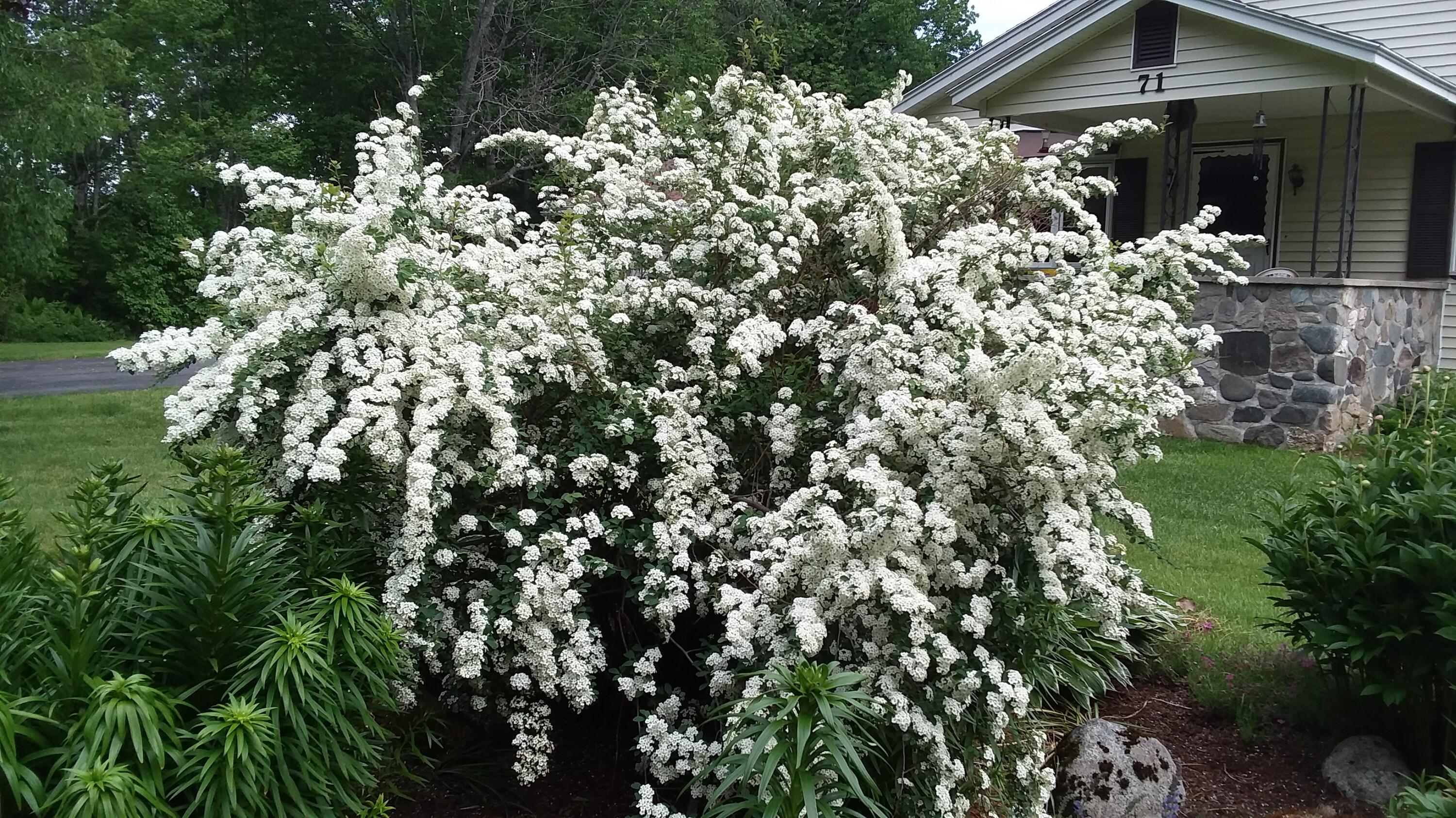 71 Upper-Charleston Road Charleston, ME 04422 - Photo 12 of 184 20210603_155528