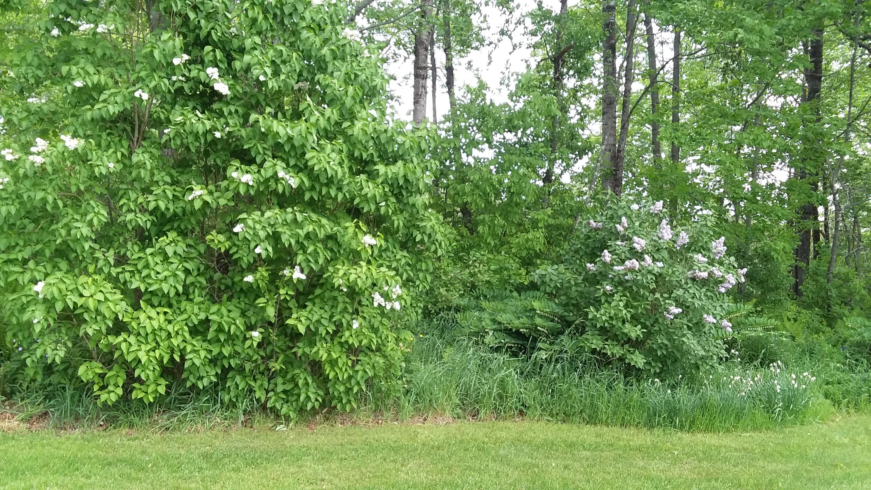 71 Upper-Charleston Road Charleston, ME 04422 - Photo 123 of 184 20210530_121955