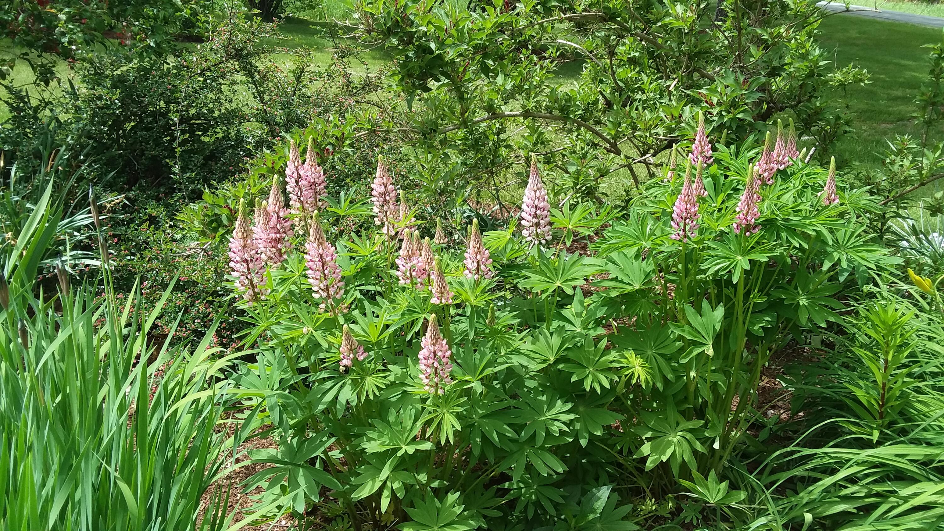 71 Upper-Charleston Road Charleston, ME 04422 - Photo 128 of 184 20210530_122154