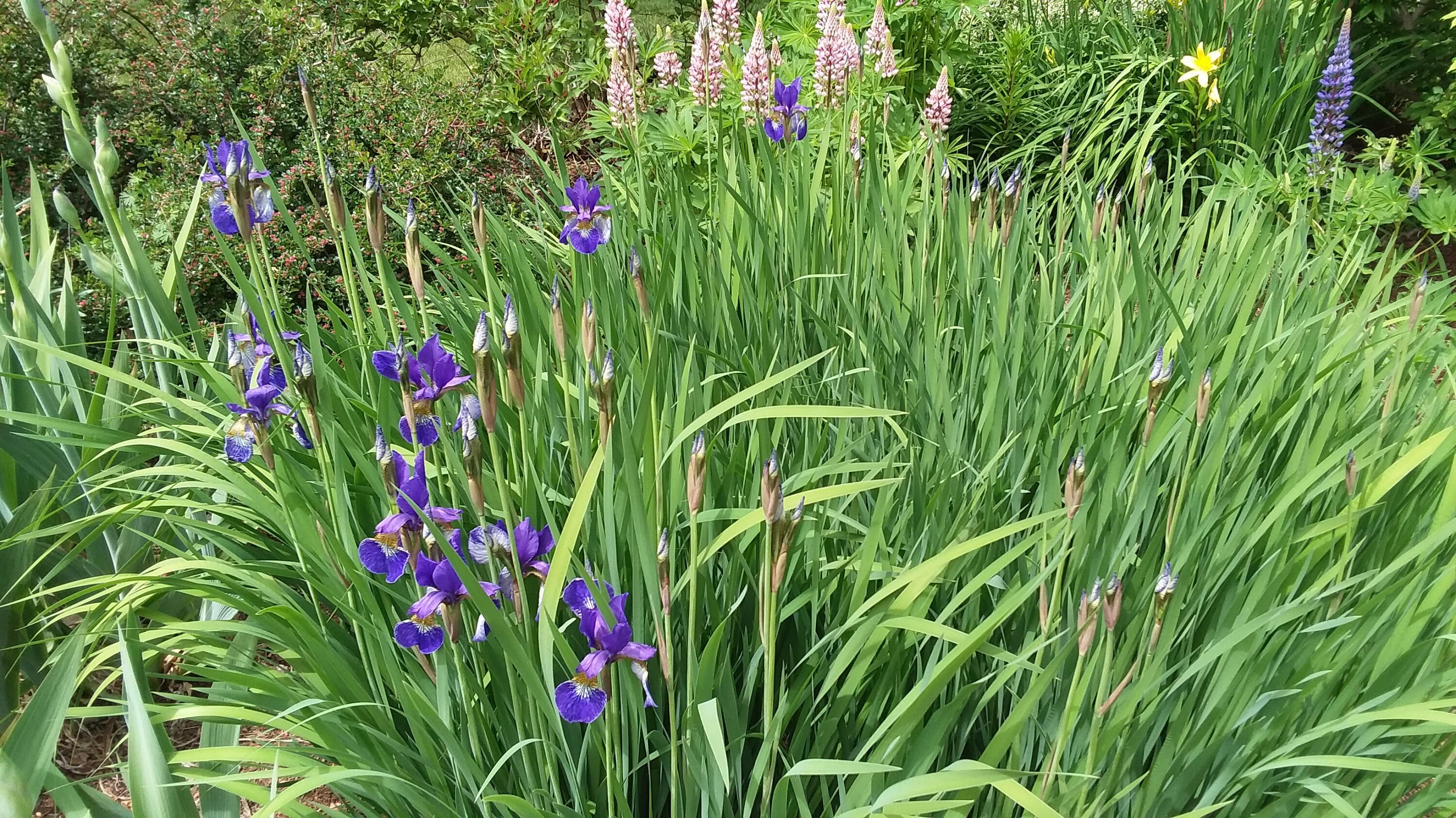 71 Upper-Charleston Road Charleston, ME 04422 - Photo 129 of 184 20210530_122205