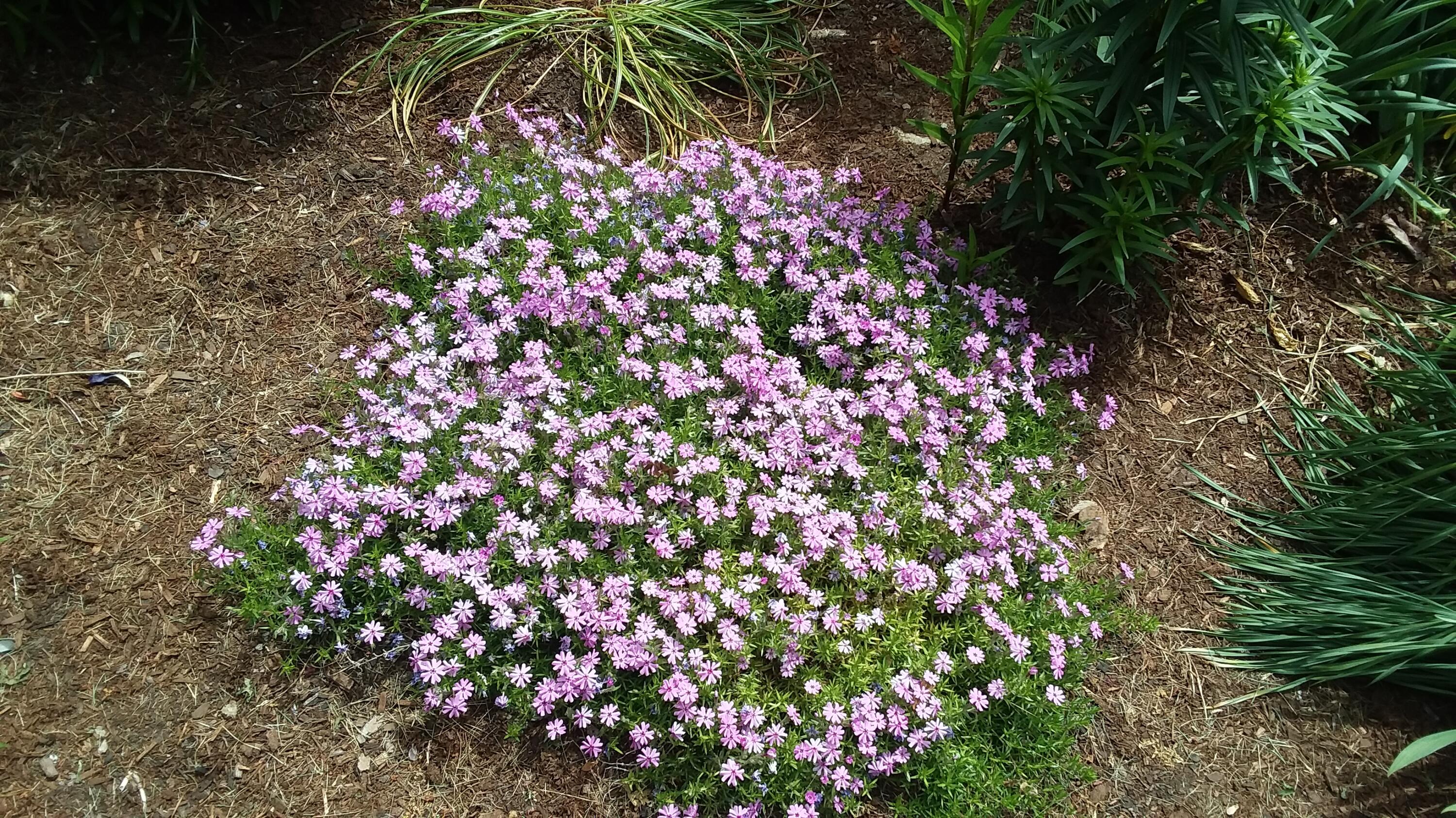 71 Upper-Charleston Road Charleston, ME 04422 - Photo 130 of 184 20210530_122232