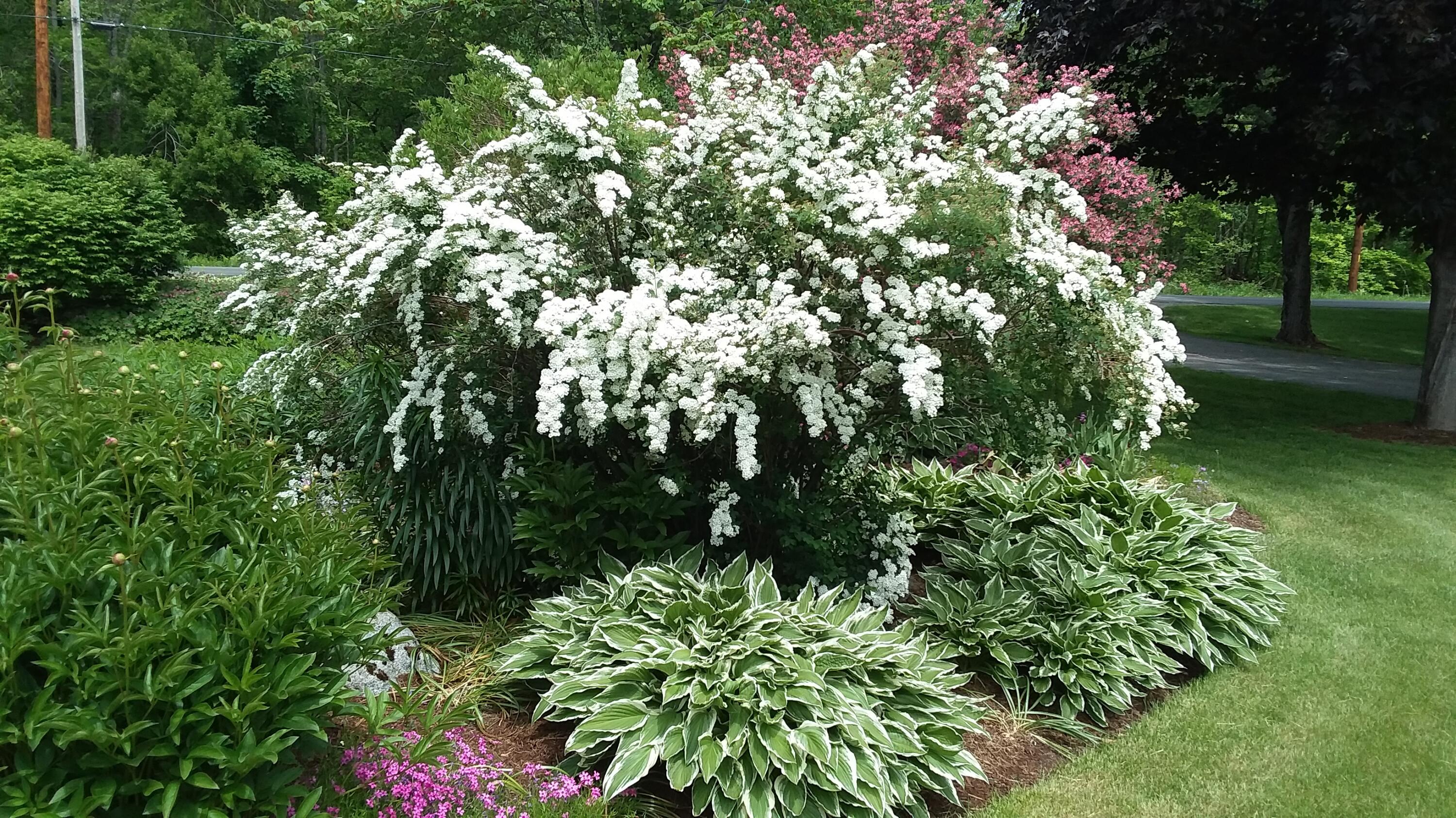 71 Upper-Charleston Road Charleston, ME 04422 - Photo 13 of 184 20210530_122312