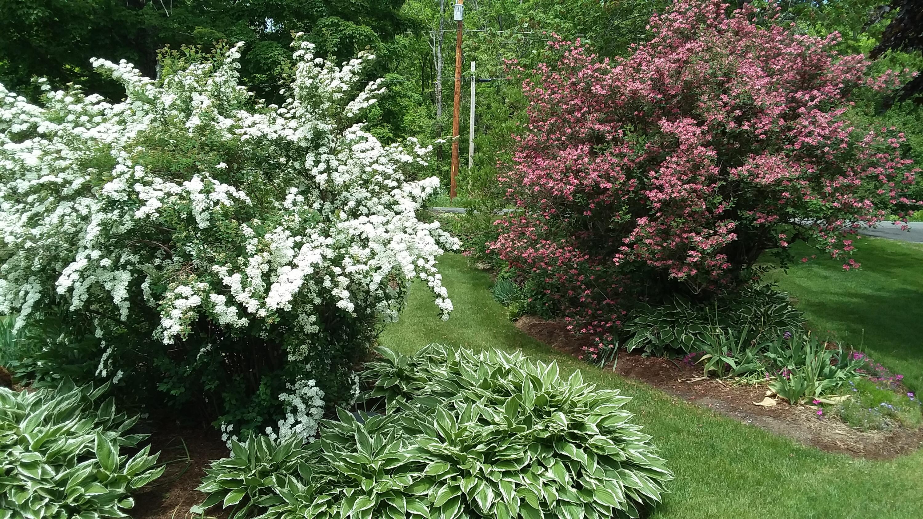 71 Upper-Charleston Road Charleston, ME 04422 - Photo 131 of 184 20210530_122333