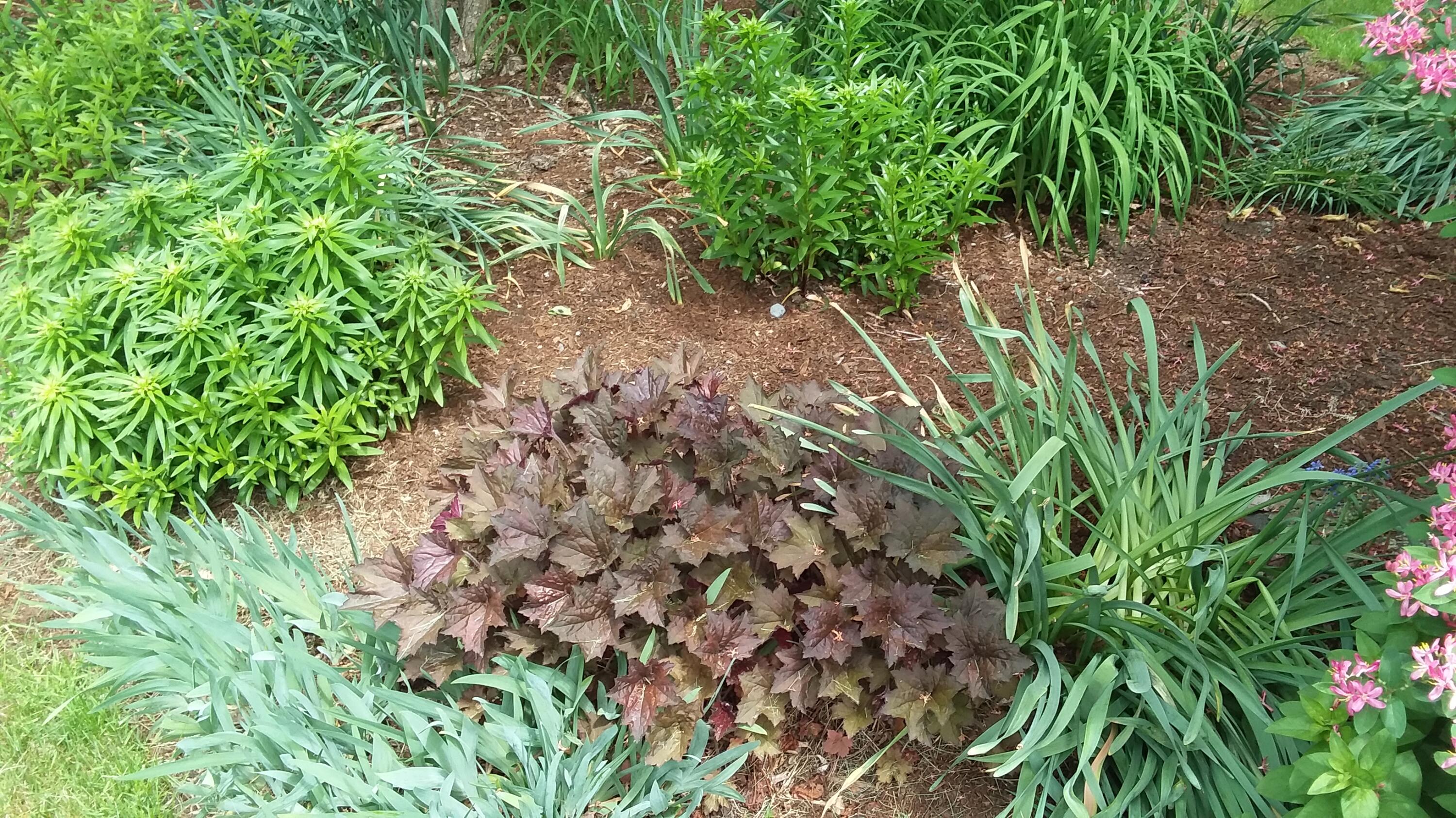 71 Upper-Charleston Road Charleston, ME 04422 - Photo 133 of 184 20210530_122407