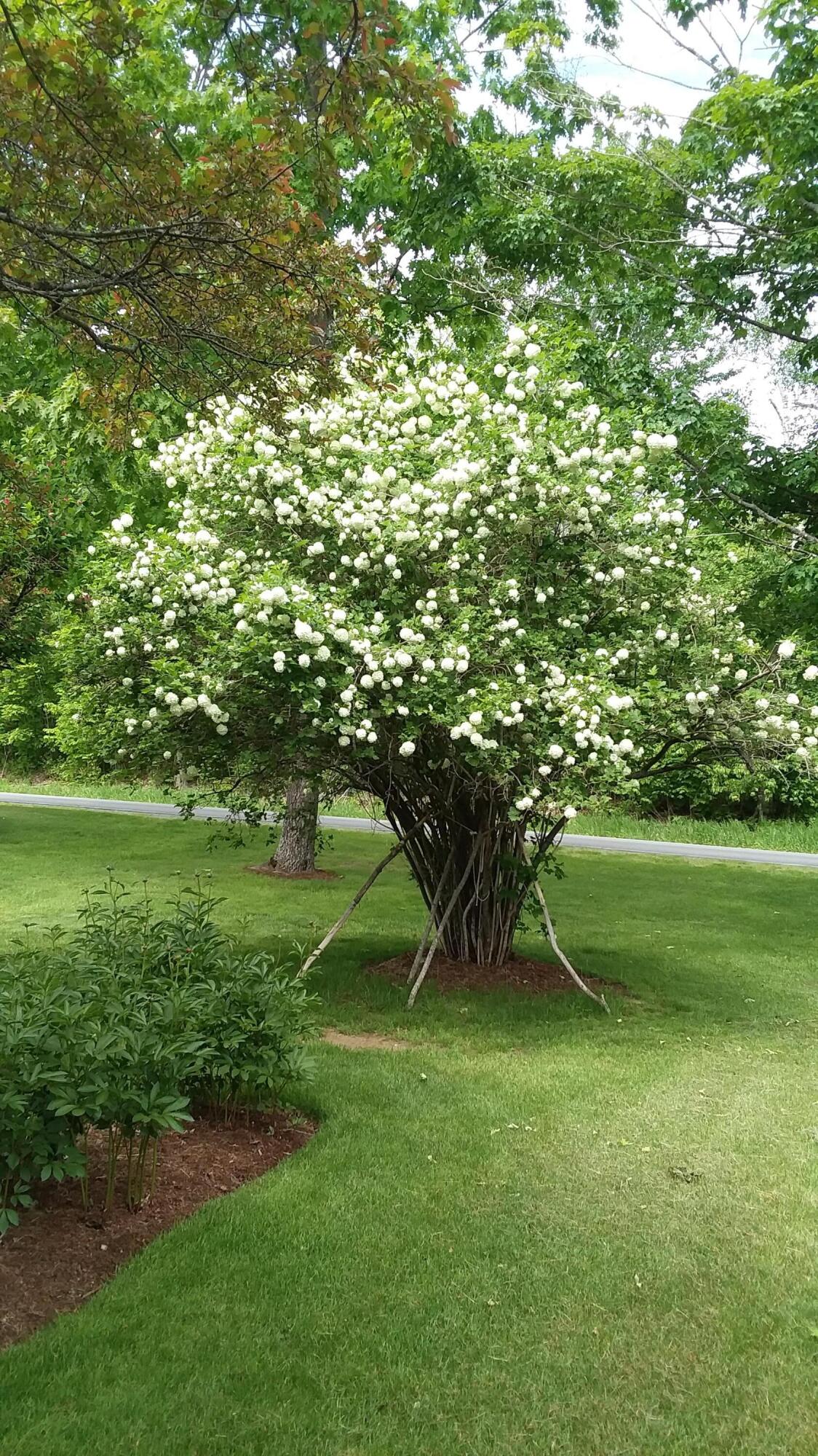 71 Upper-Charleston Road Charleston, ME 04422 - Photo 134 of 184 20210530_122511