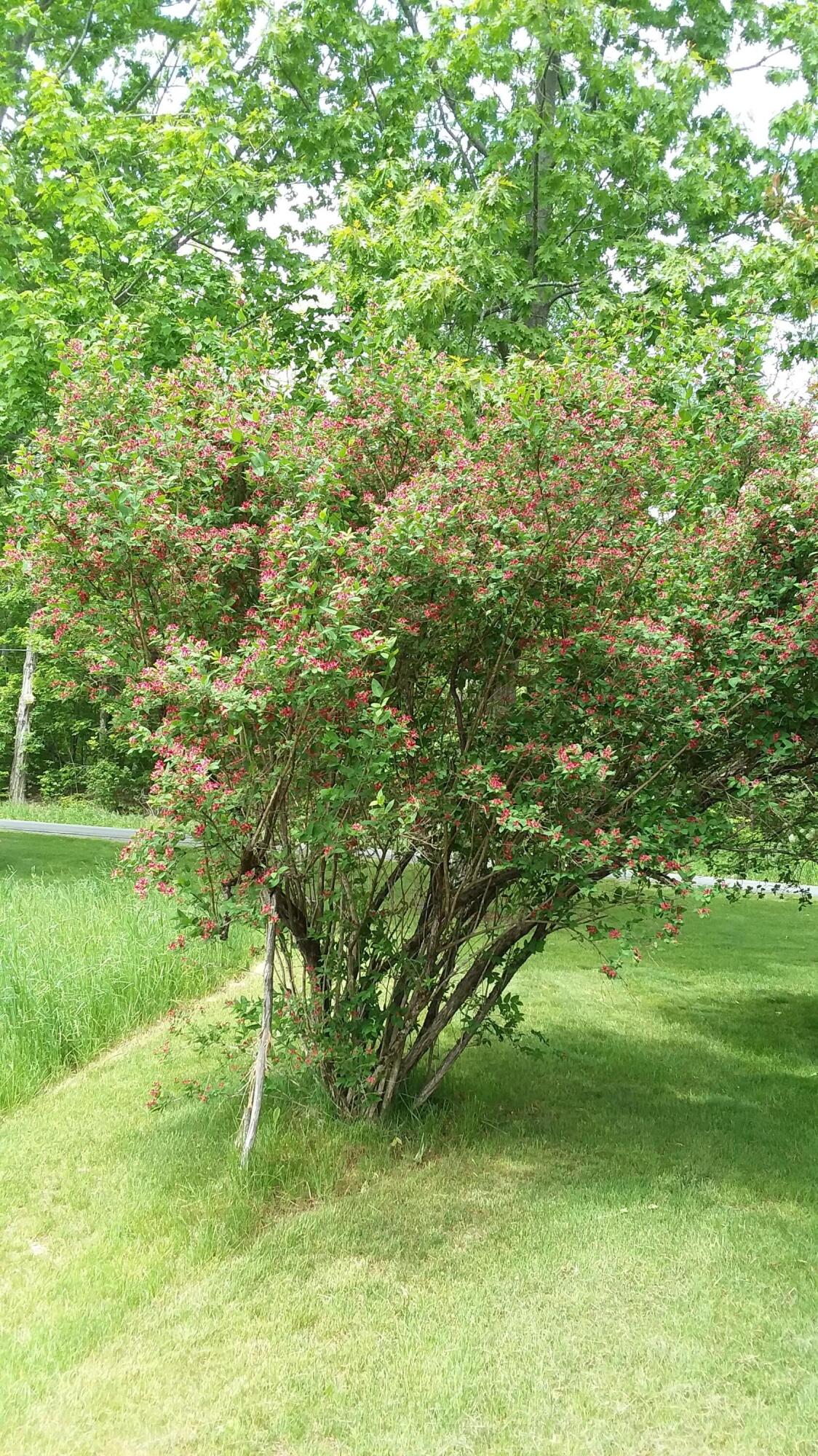 71 Upper-Charleston Road Charleston, ME 04422 - Photo 135 of 184 20210530_122538