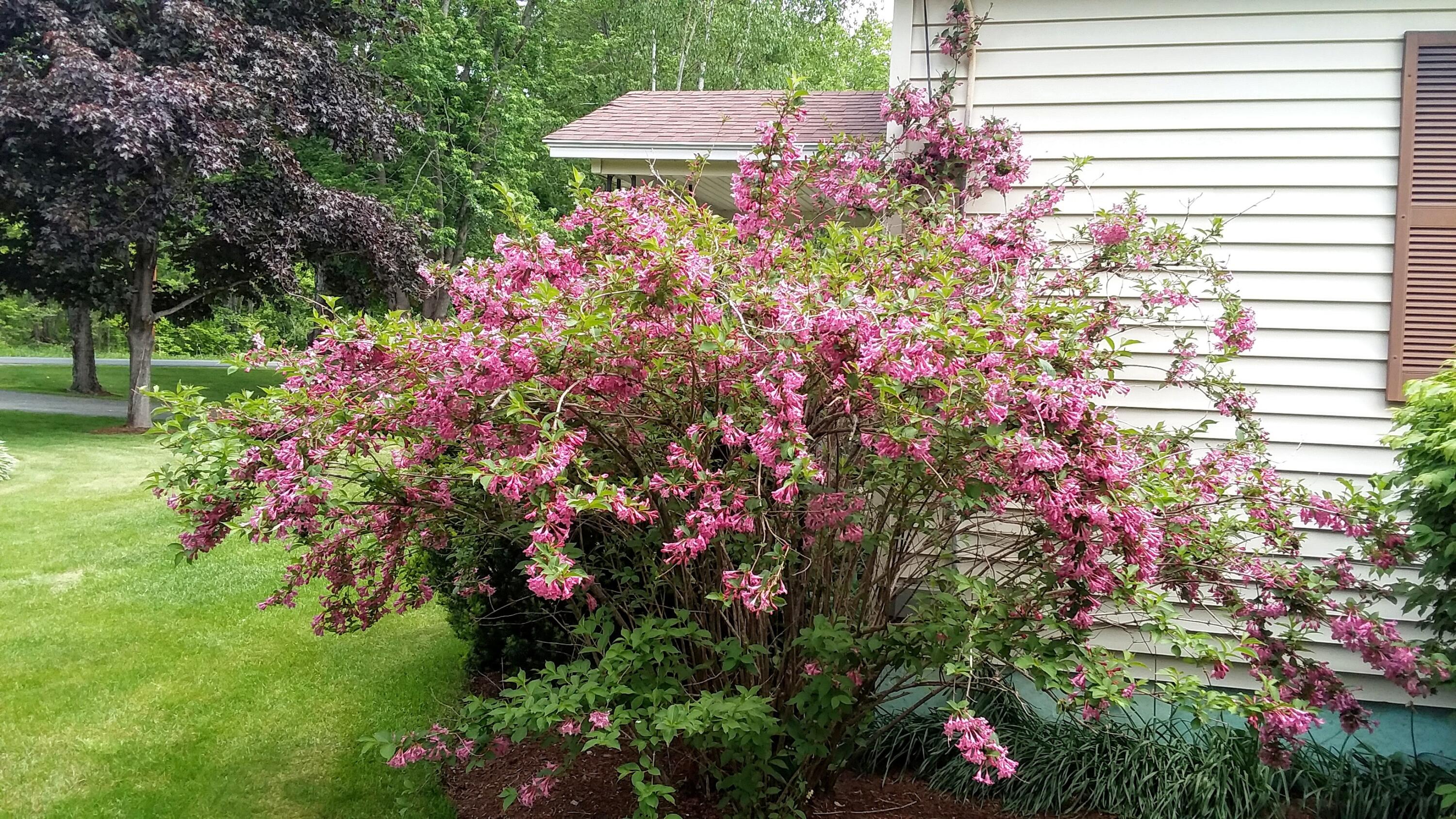 71 Upper-Charleston Road Charleston, ME 04422 - Photo 136 of 184 20210530_122619